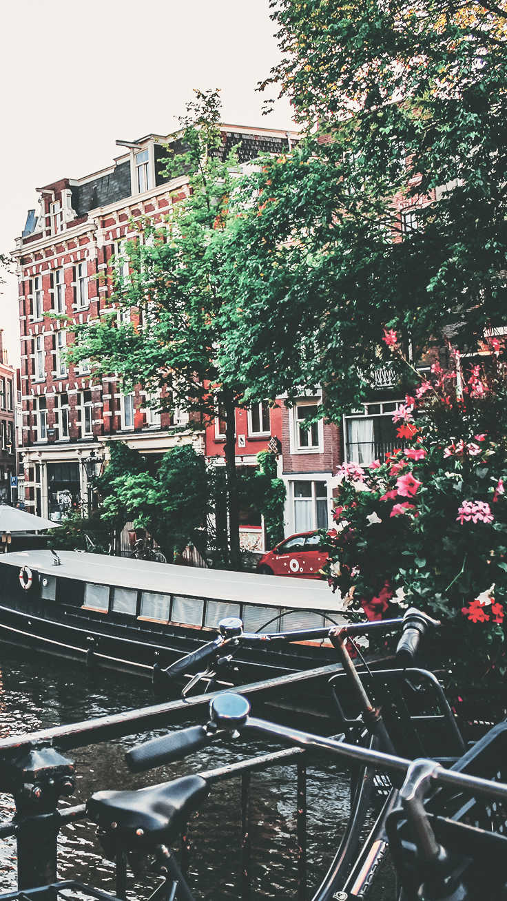 736x1308 iPhone Xs Wallpaper Of The Most Beautiful City