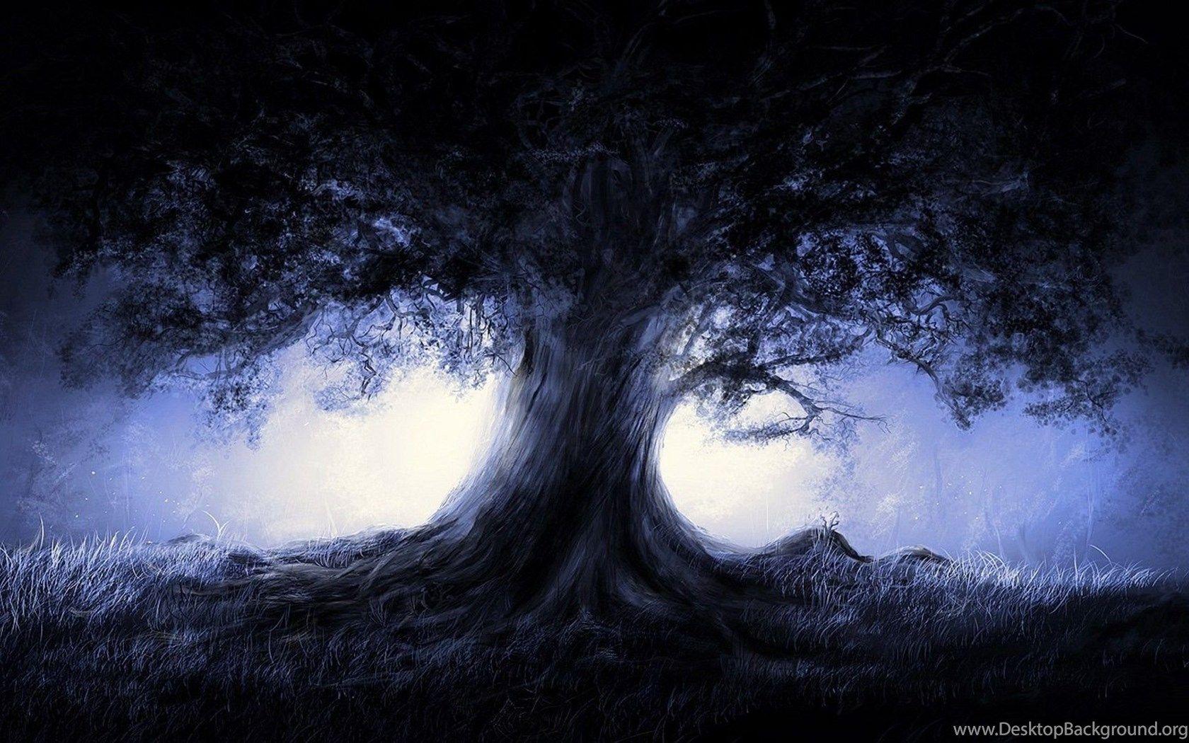 1680x1050 Wallpaper Anime Landscape Nature Blue Landscapes Trees Dark