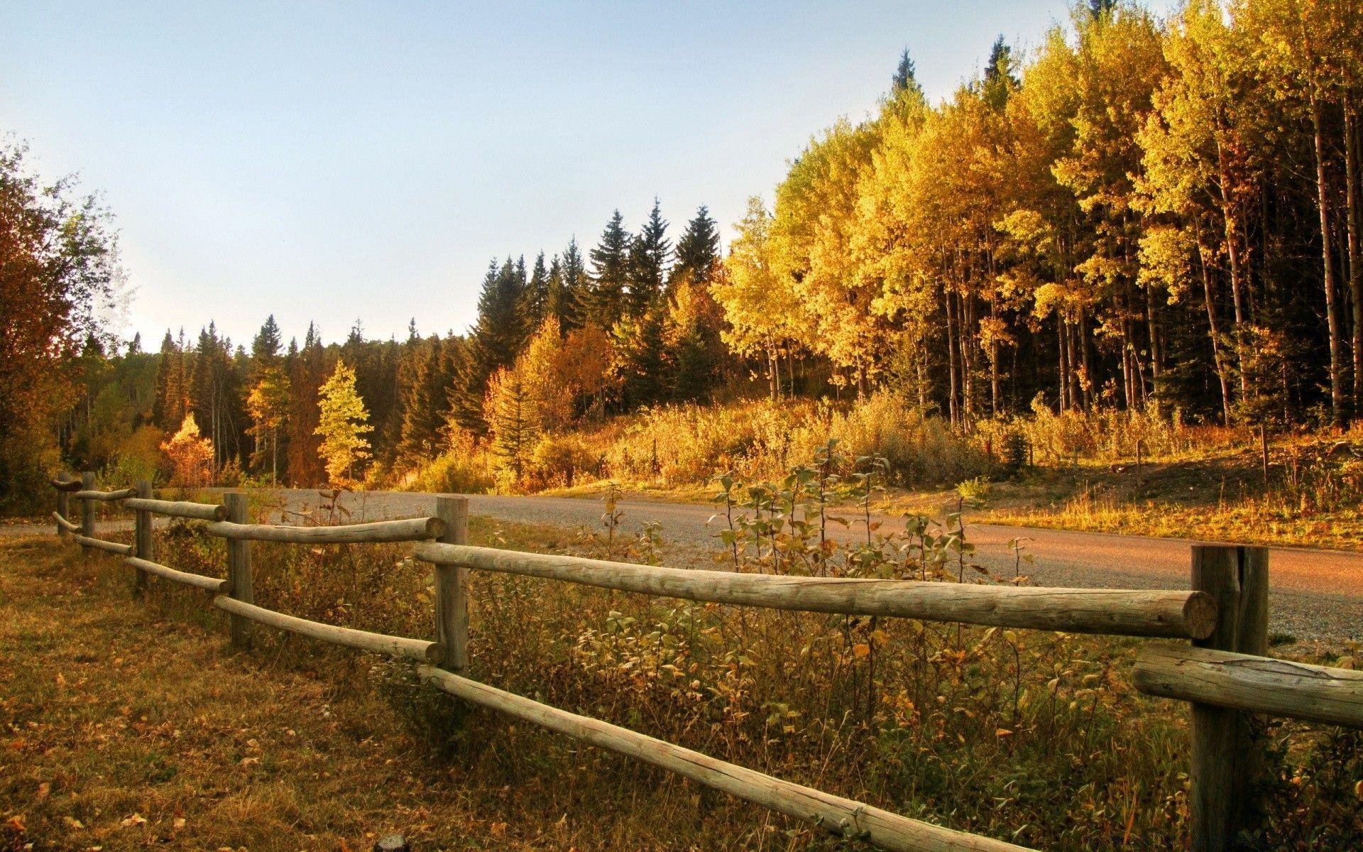1920x1200 Autumn Landscape