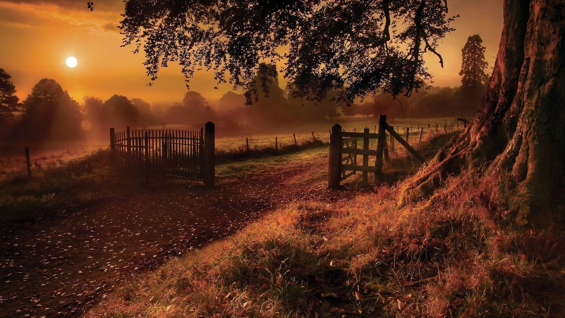 1920x1080 Wallpaper Autumn
