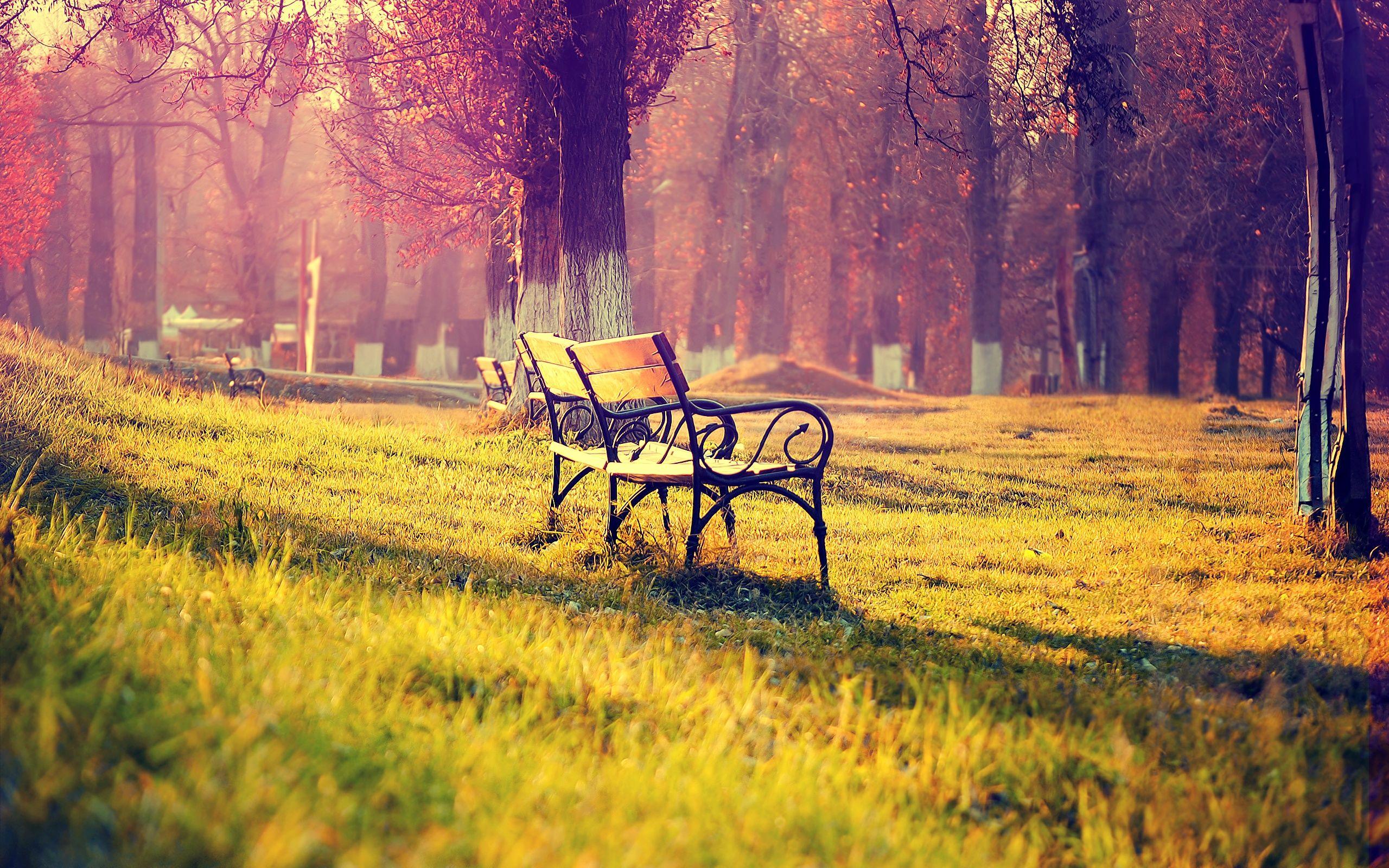 2560x1600 Autumn Landscape Wallpaper and Free