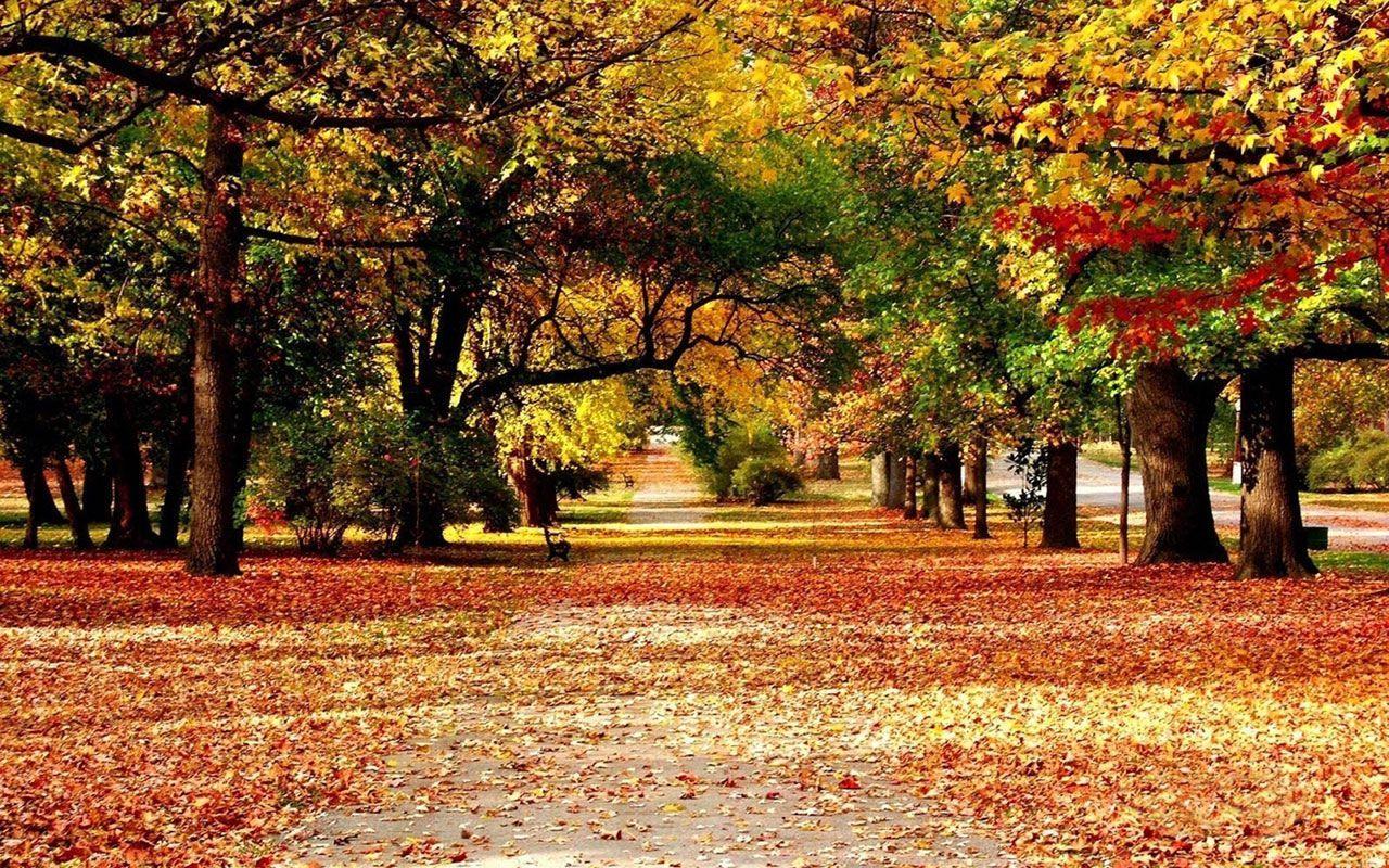 1280x800 Autumn Landscape Wallpaper. Autumn wallpaper hd, Landscape wallpaper, Autumn landscape