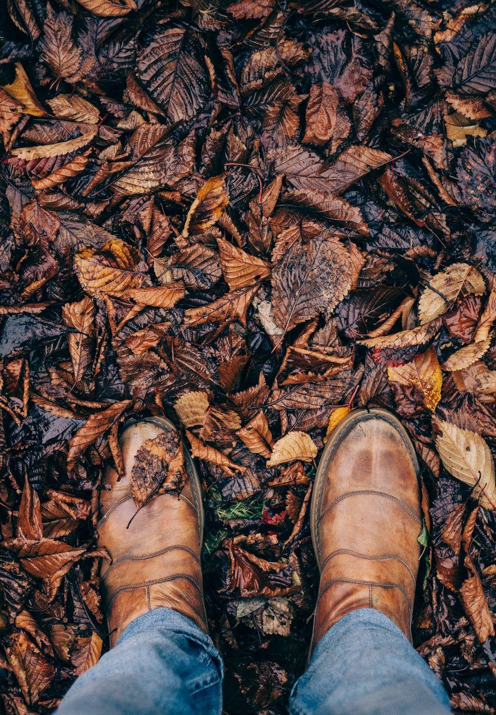 1000x1440 Cowboy Boot Picture. Download Free Image