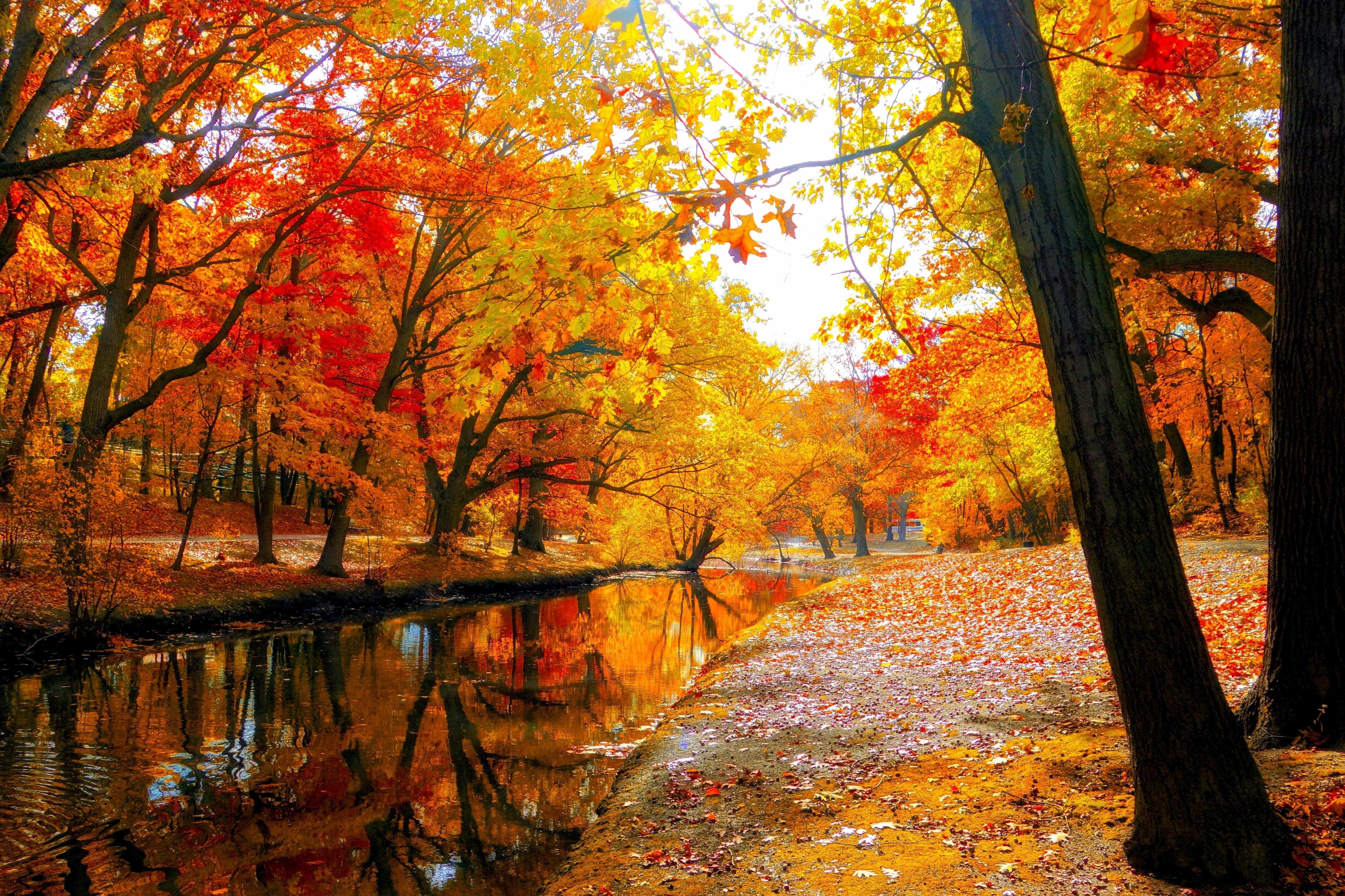 Fall Landscape Wallpapers Top Free Fall Landscape Backgrounds 
