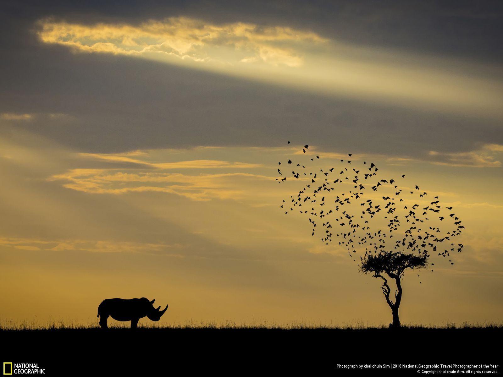 1600x1200 National Geographic Travel Photographer of the Year 2018