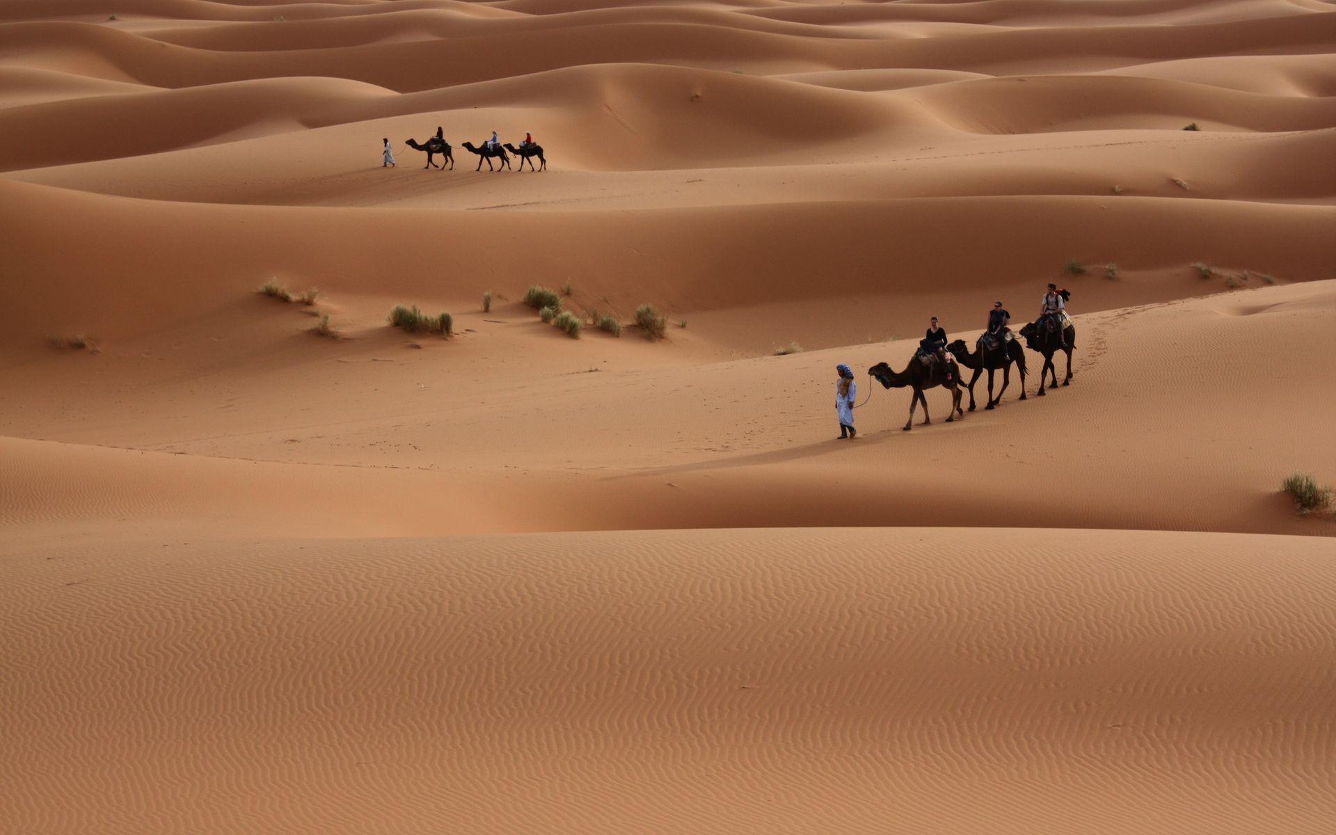 1920x1200 nature, Landscapes, Desert, Dune, Sand, People, Travel