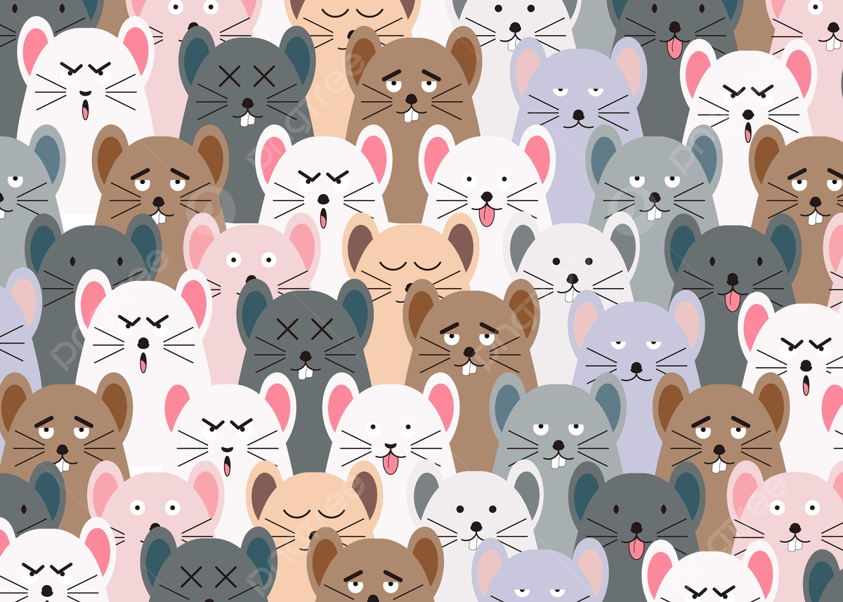 1200x857 Mouse Animal Background Image, HD