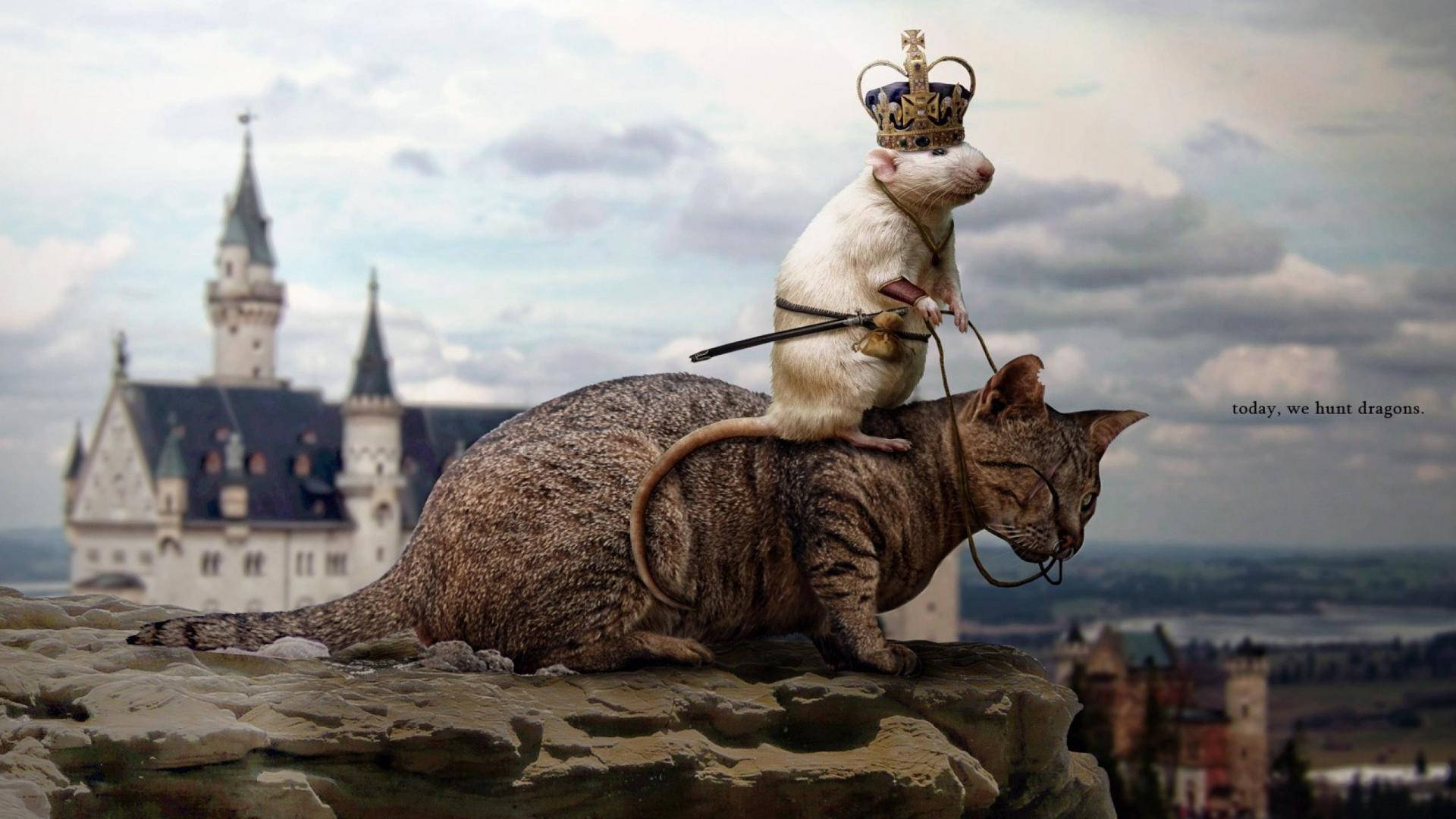1920x1080 Mouse Riding on a Cat Wallpaper