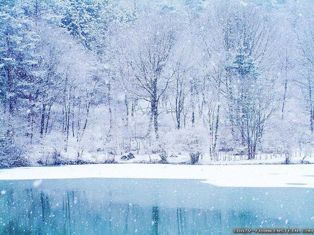 1024x768 Winter Forest wallpaper 2