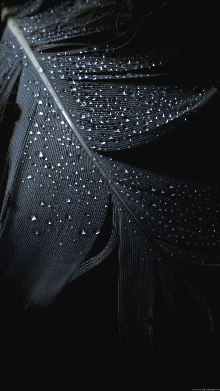 736x1308 Dark wallpaper HD for on sale mobile