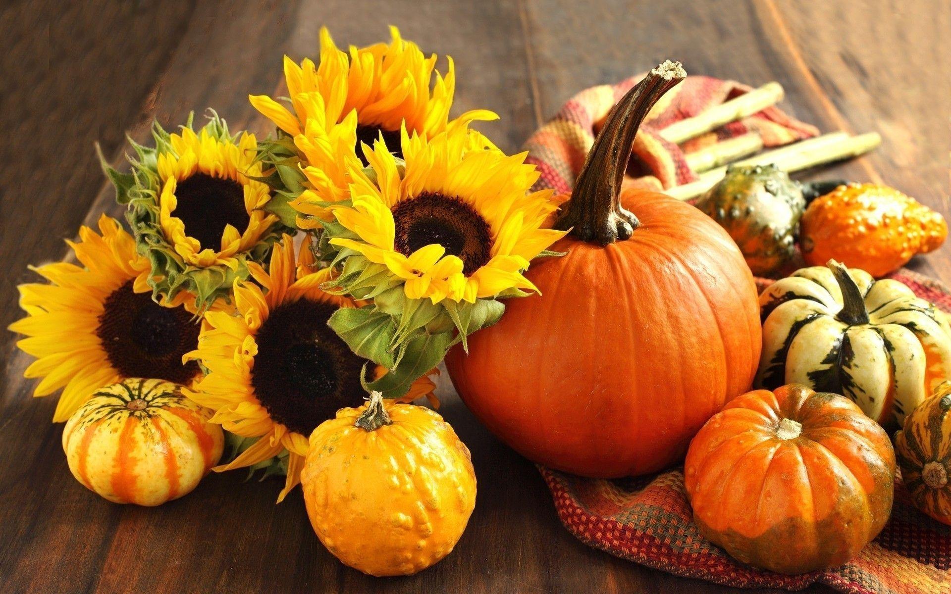 Image of Pumpkin and fall foliage free image