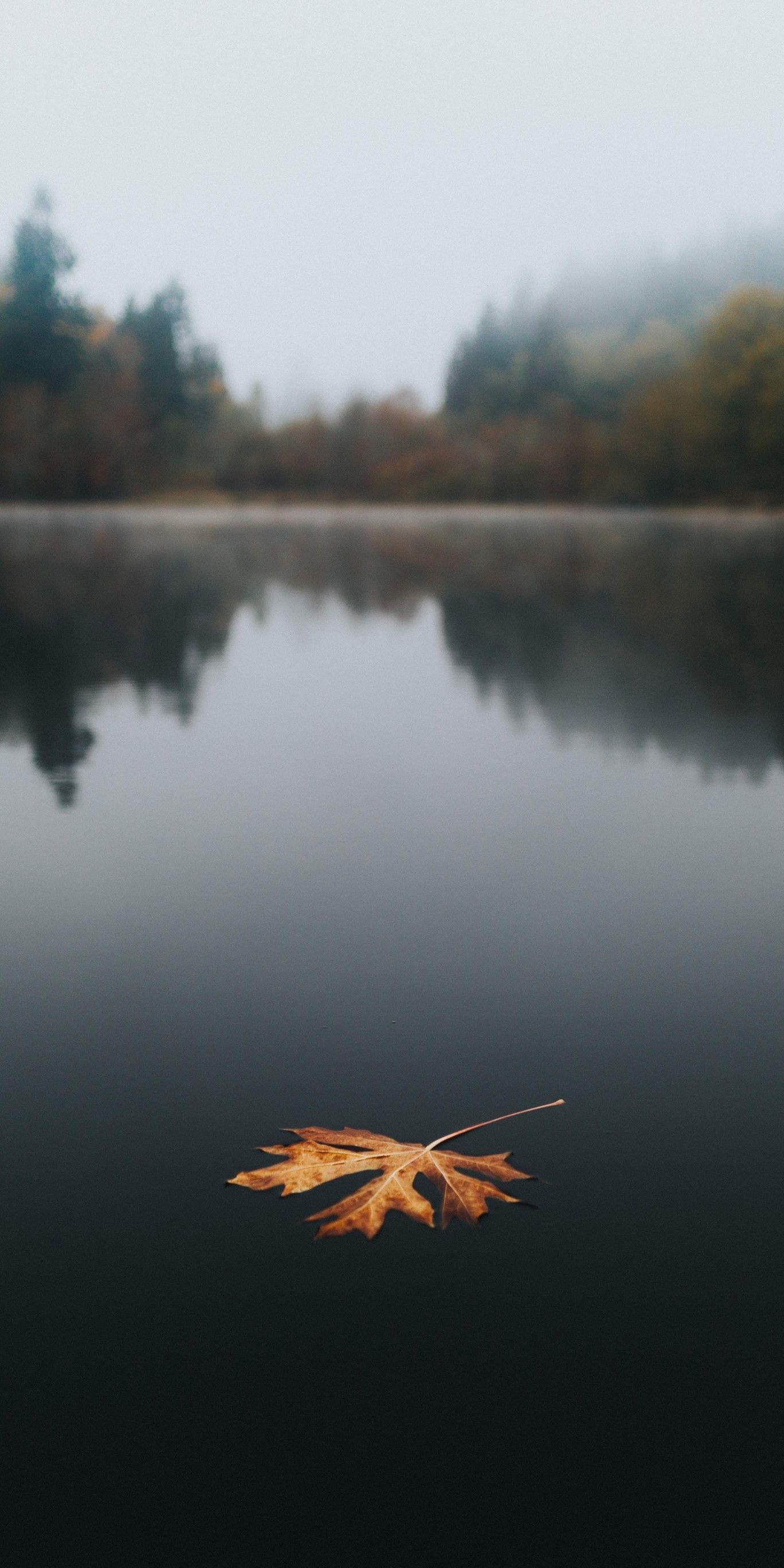 1368x2736 Wallpaper Lake #wallz. Background vintage