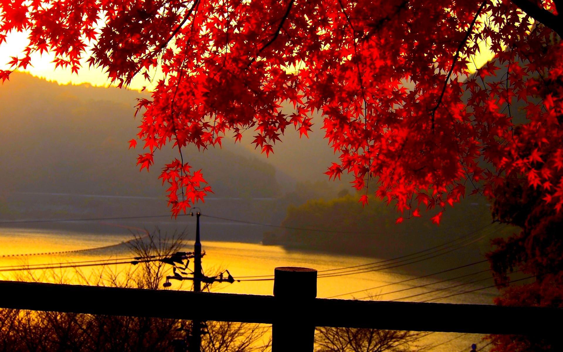 1920x1200 Autumn Screen Wallpaper