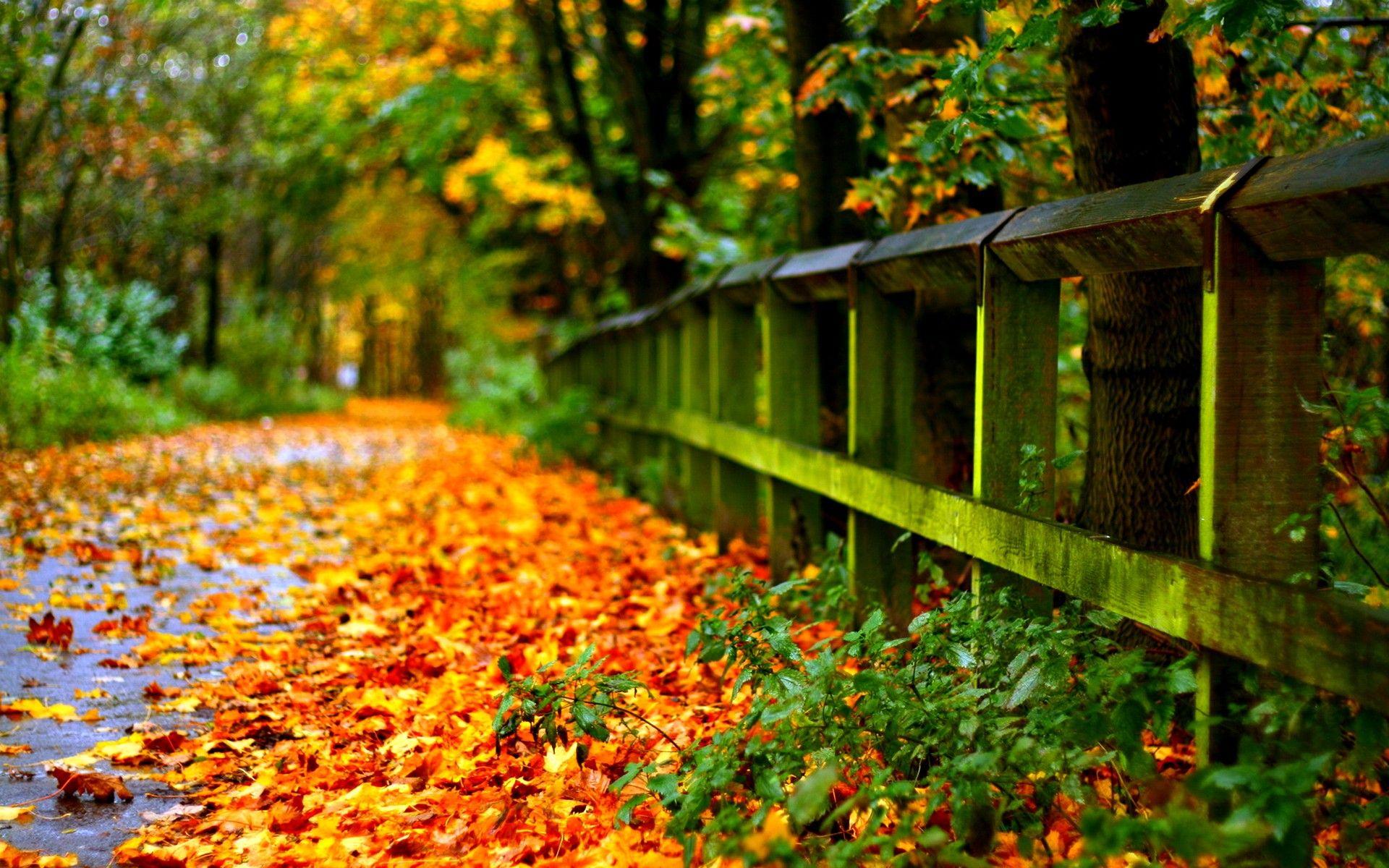1920x1200 Laptop HD wallpaper Gallery. Beautiful and Interesting