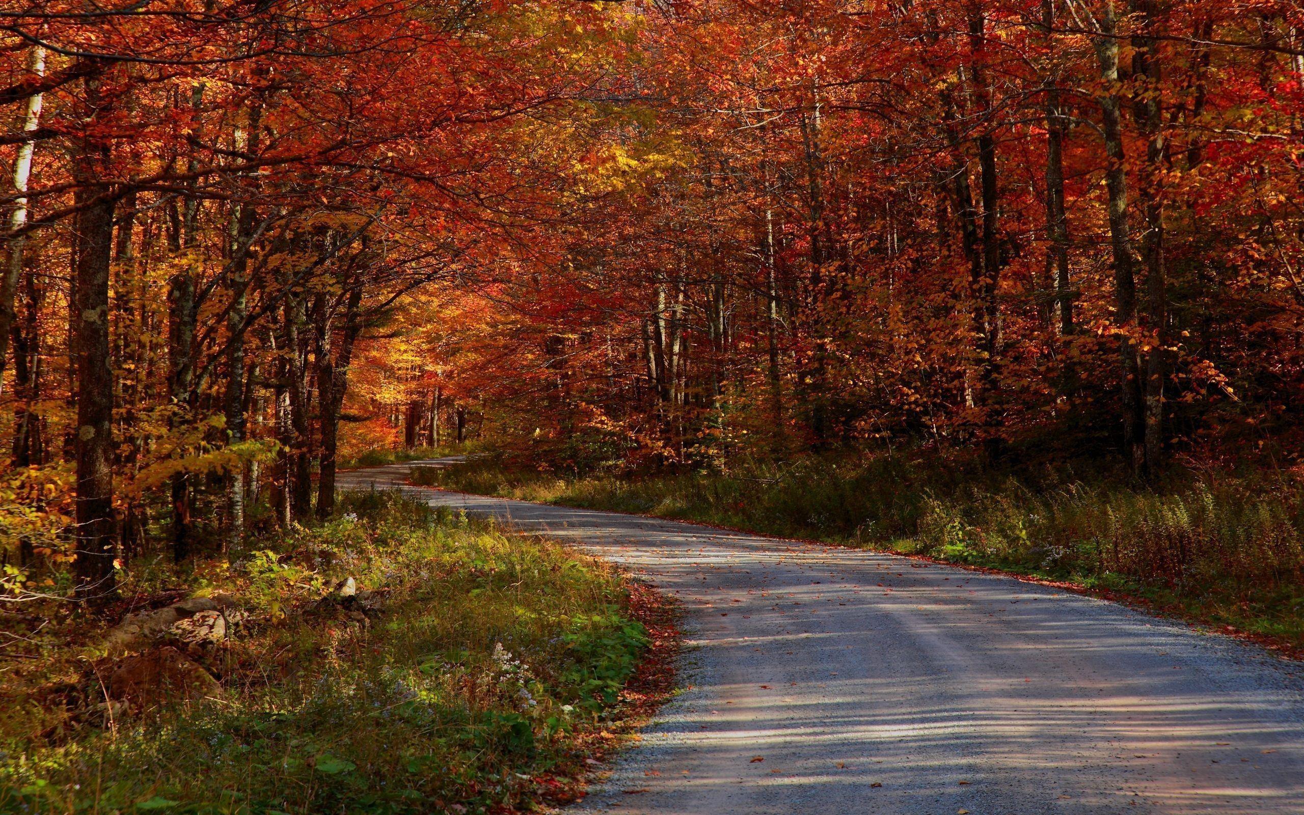 2560x1600 Autumn Scenes Wallpaper background picture