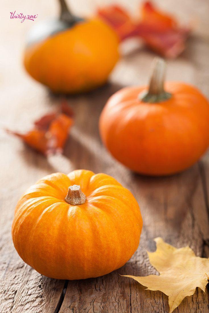 735x1100 Fall Scene with Pumpkins Wallpaper at