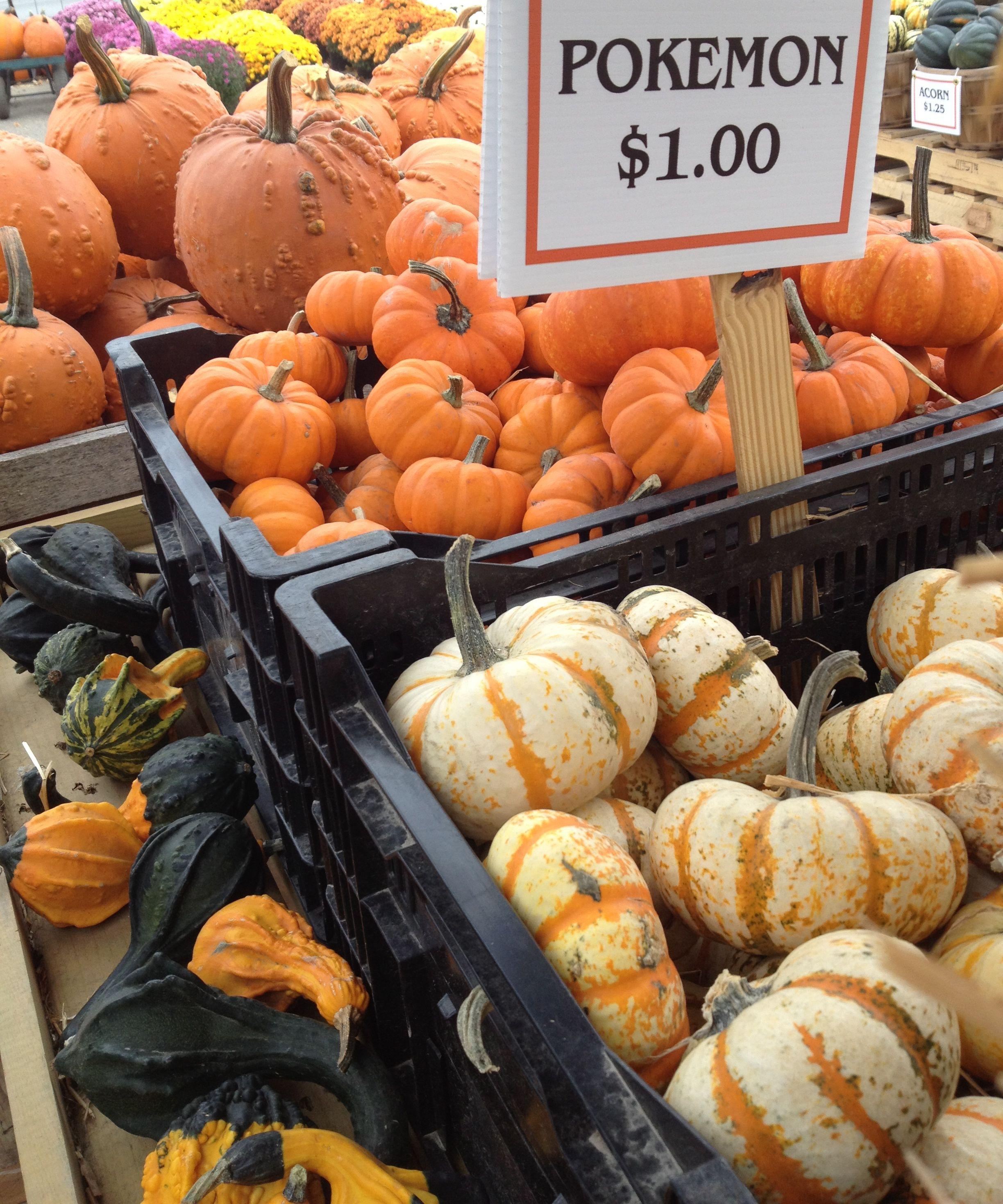 2448x2938 DIY Fall Decorating Ideas: Enhance Pumpkins with Vintage