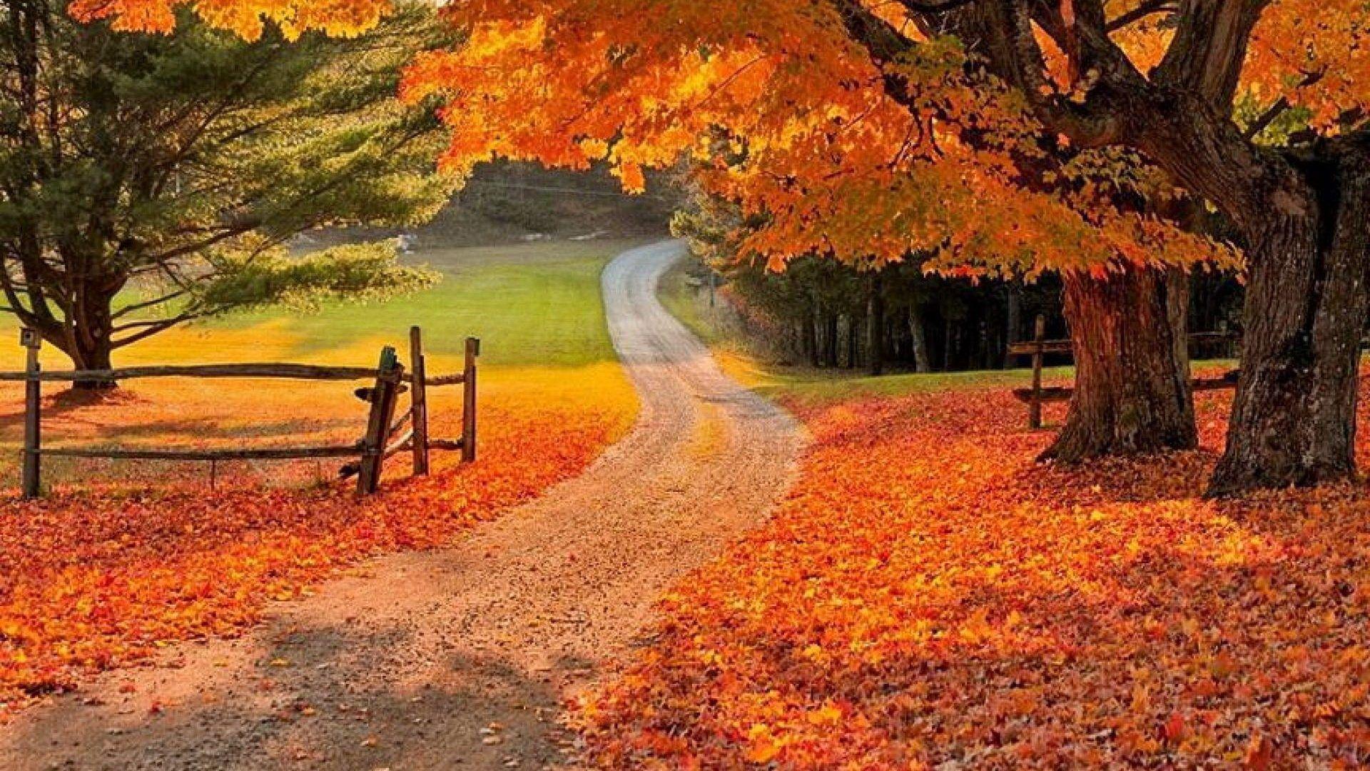 Country Fall Wallpapers Top Free Country Fall Backgrounds Country Fall Wallpapers Top Free Country Fall Backgrounds