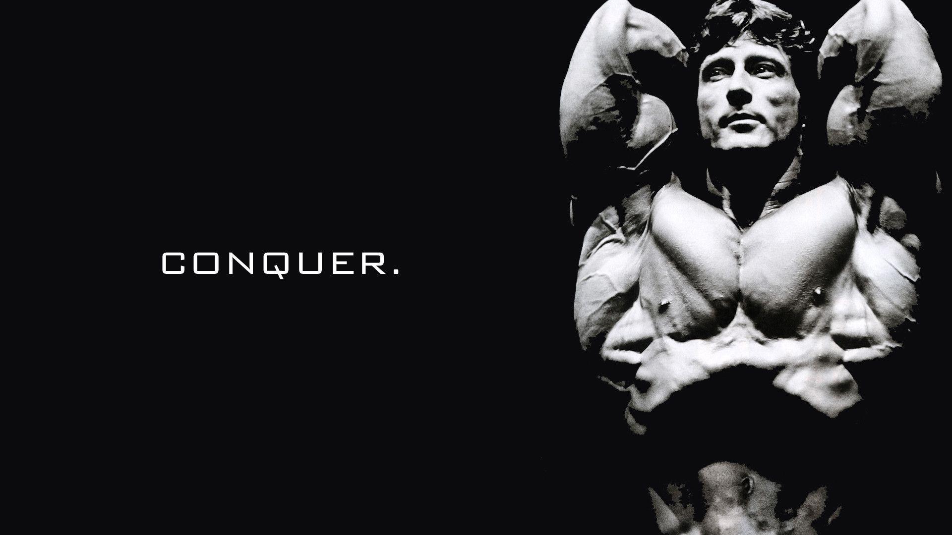 Conquer Wallpapers - Top Free Conquer Backgrounds - WallpaperAccess