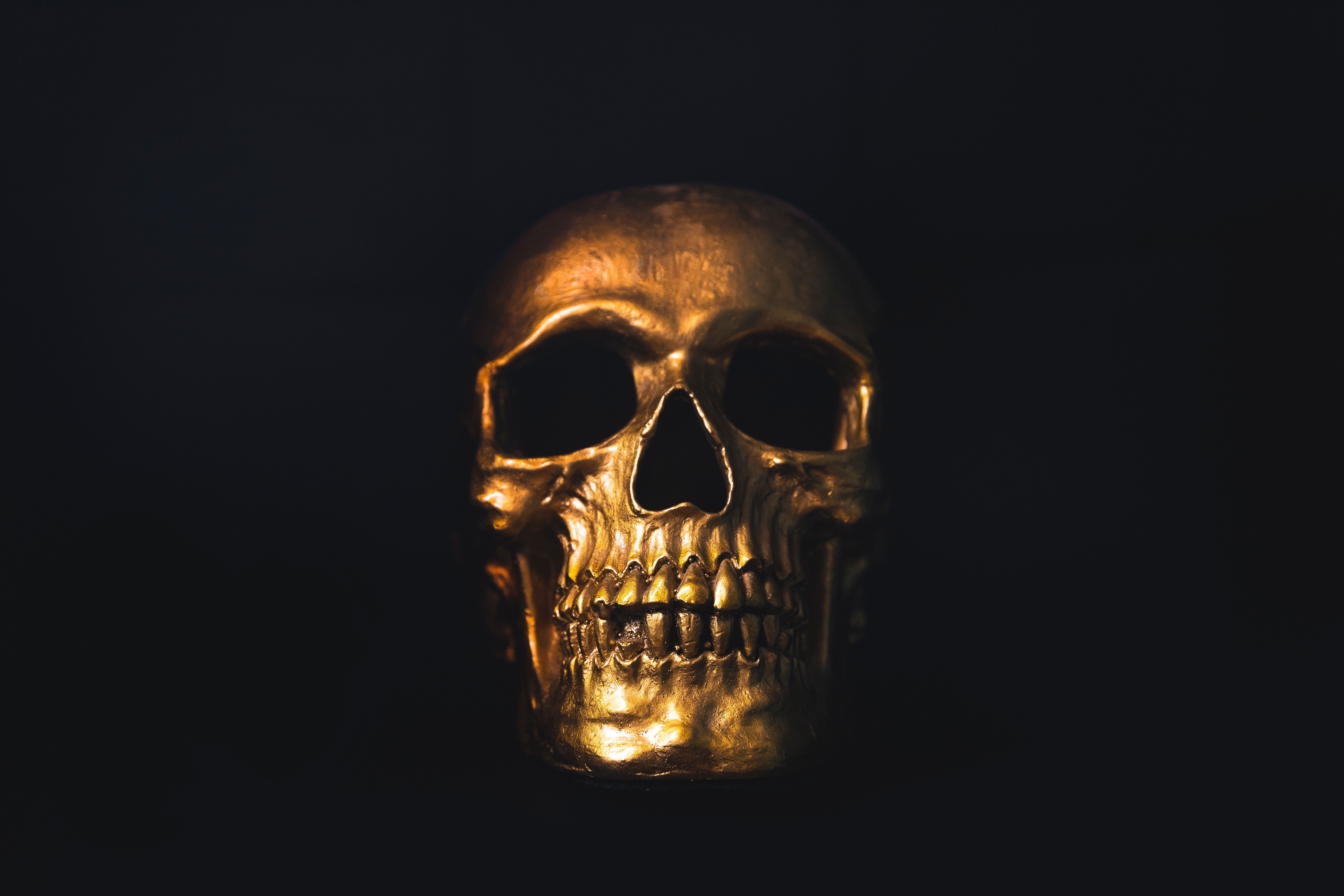 6720x4480 Download Skull wallpaper for mobile