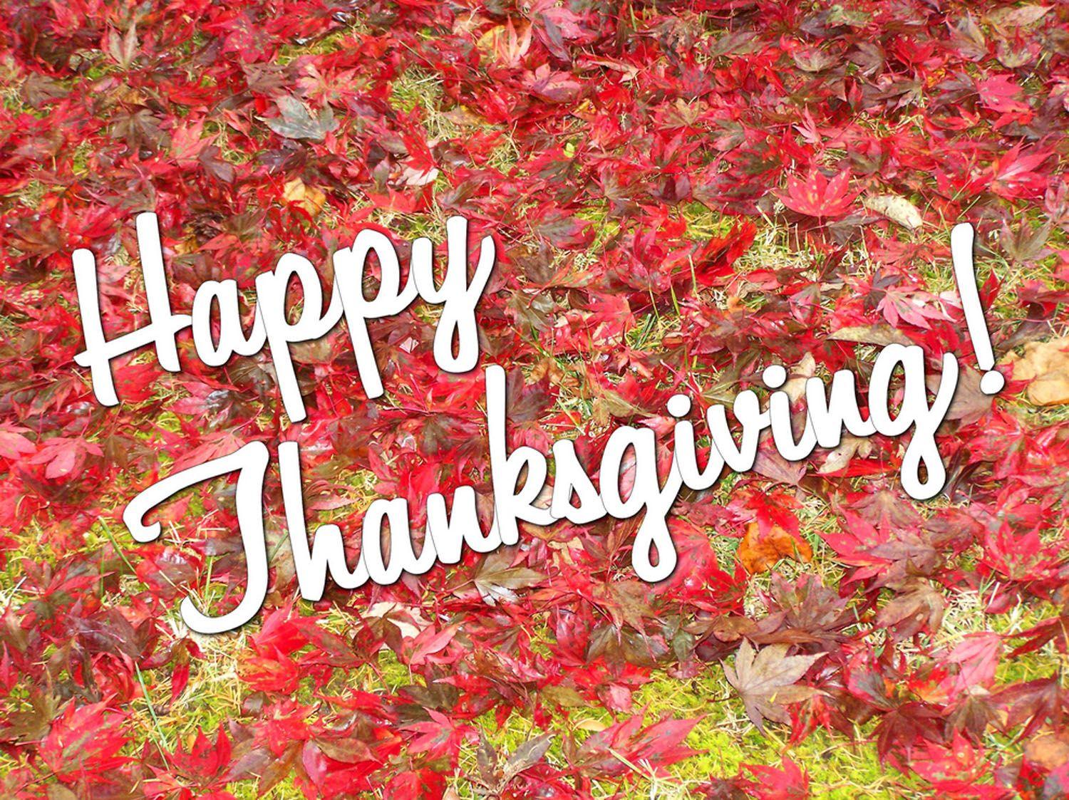 1500x1123 Happy Thanksgiving Day 2012 HD Wallpaper