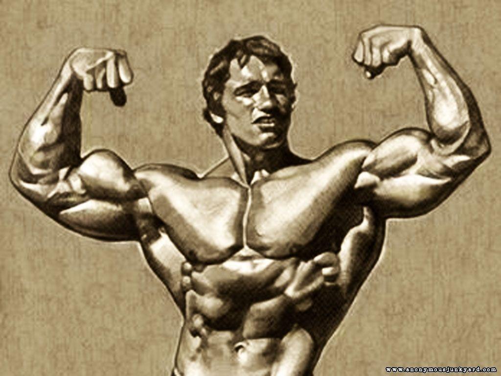 Arnold Bodybuilding Wallpapers - Top Free Arnold Bodybuilding Backgrounds -  WallpaperAccess