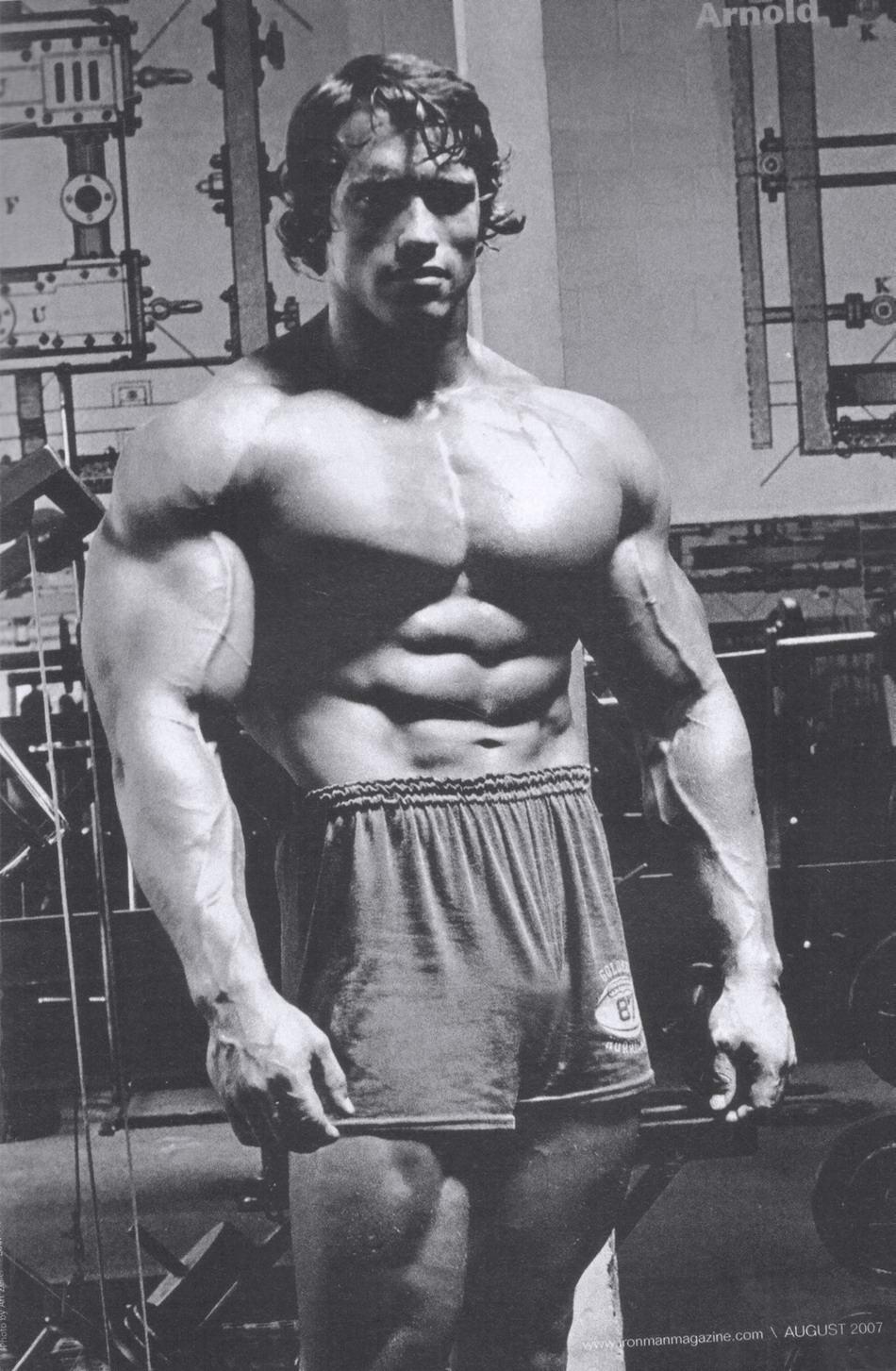950x1453 Arnold schwarzenegger bodybuilding wallpaper