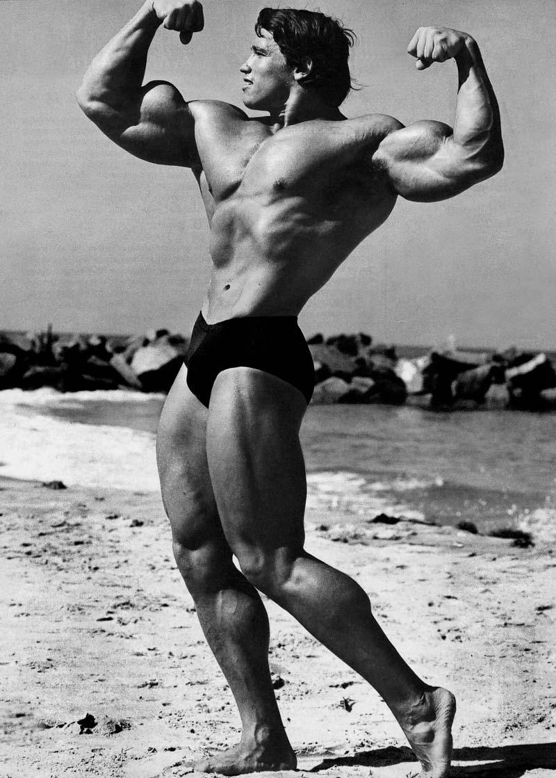 800x1119 Arnold Bodybuilding Wallpaper Group , HD Wallpaper