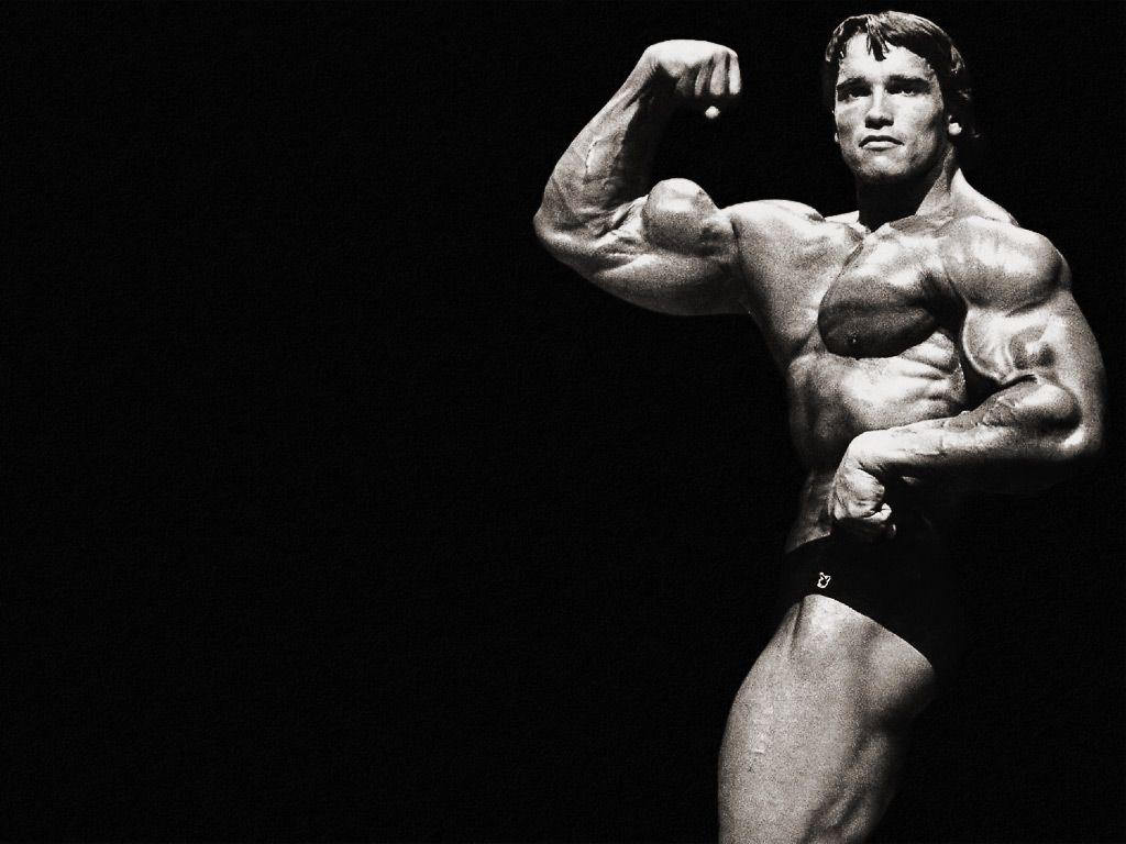 1024x768 Arnold Schwarzenegger Bodybuilding Wallpaper 1280×1024