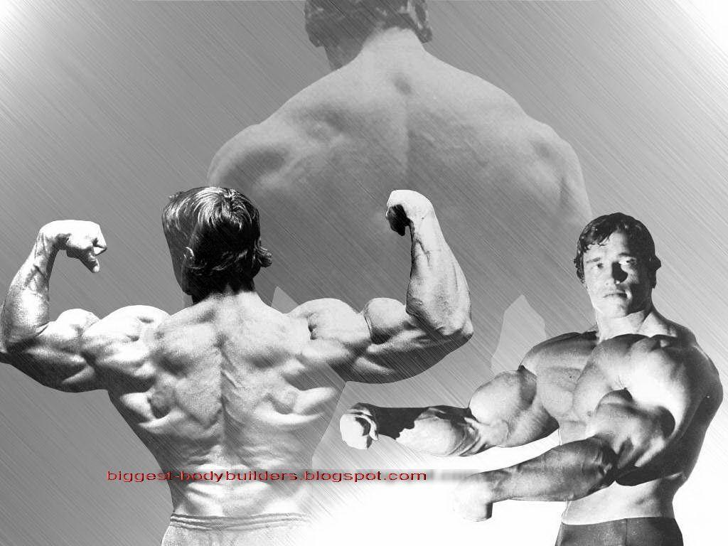1024x768 Arnold Schwarzenegger Bodybuilding Wallpaper