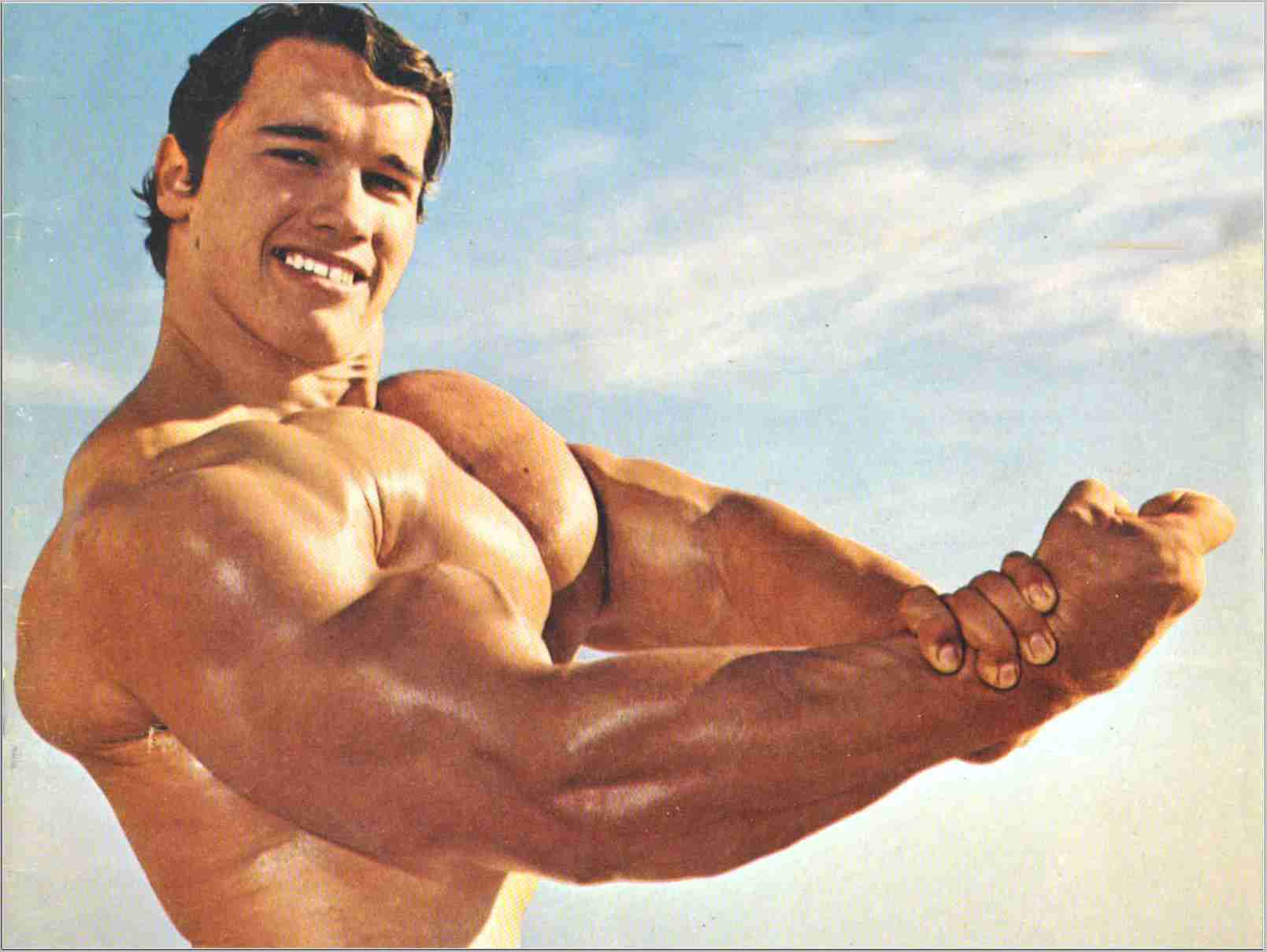 1609x1209 Best of 20 arnold schwarzenegger wallpaper free download