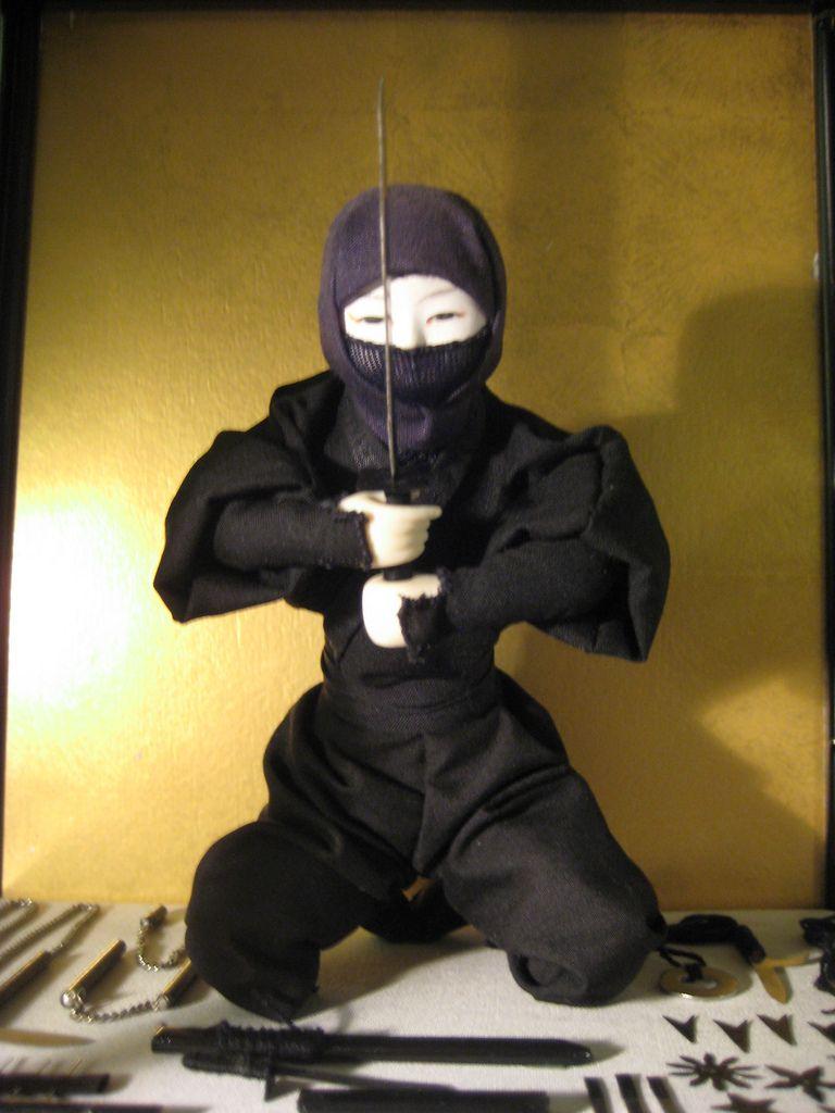 Sho Kosugi Wallpapers - Top Free Sho Kosugi Backgrounds - WallpaperAccess