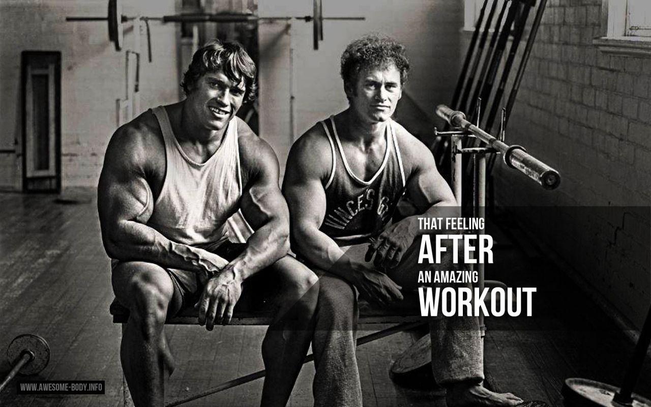 1280x800 Arnold Schwarzenegger Gym Routine HD Workout Wallpaper 74
