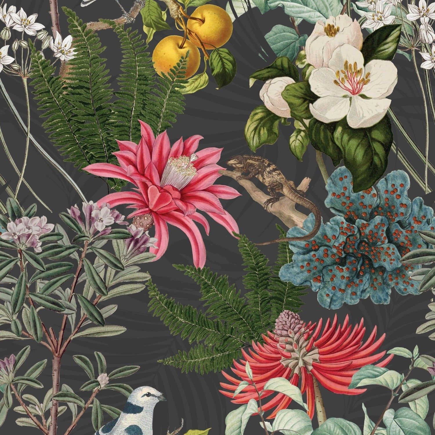 1500x1500 Colorful Botanical Garden Wallpaper