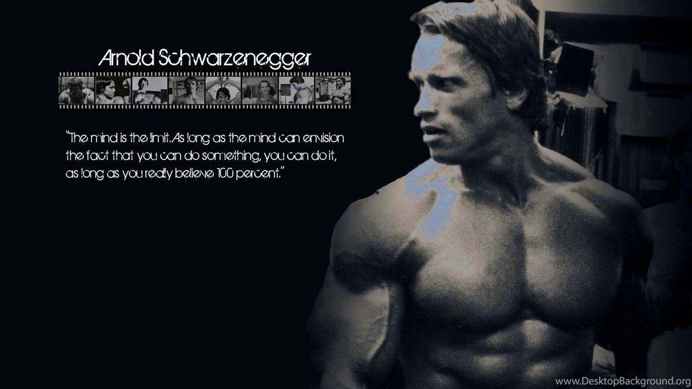1366x768 Arnold schwarzenegger bodybuilding wallpaper conquer photo