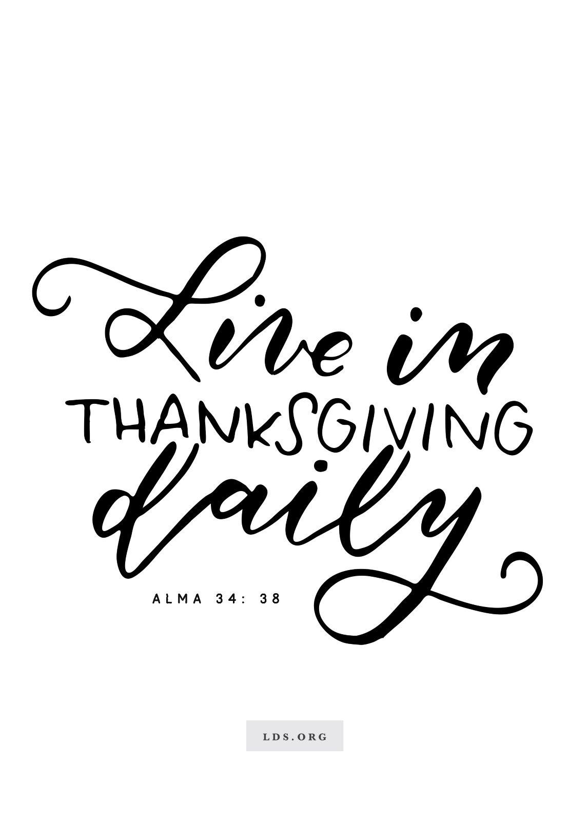 1146x1600 Meme Alma Thanksgiving Daily 1833093 ?download=true