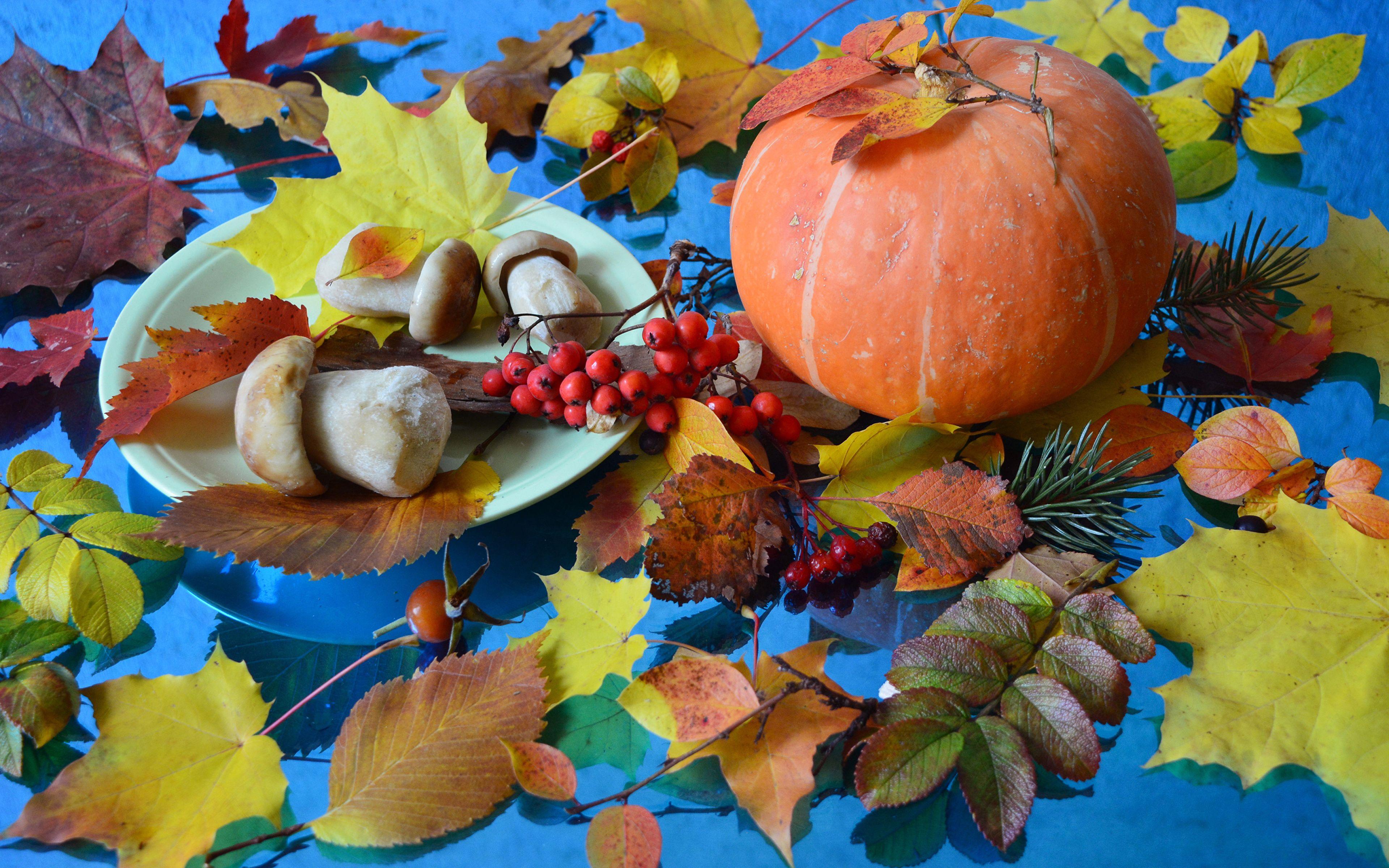 3840x2400 Desktop Wallpaper Foliage rowan Autumn Nature Pumpkin 3840x2400