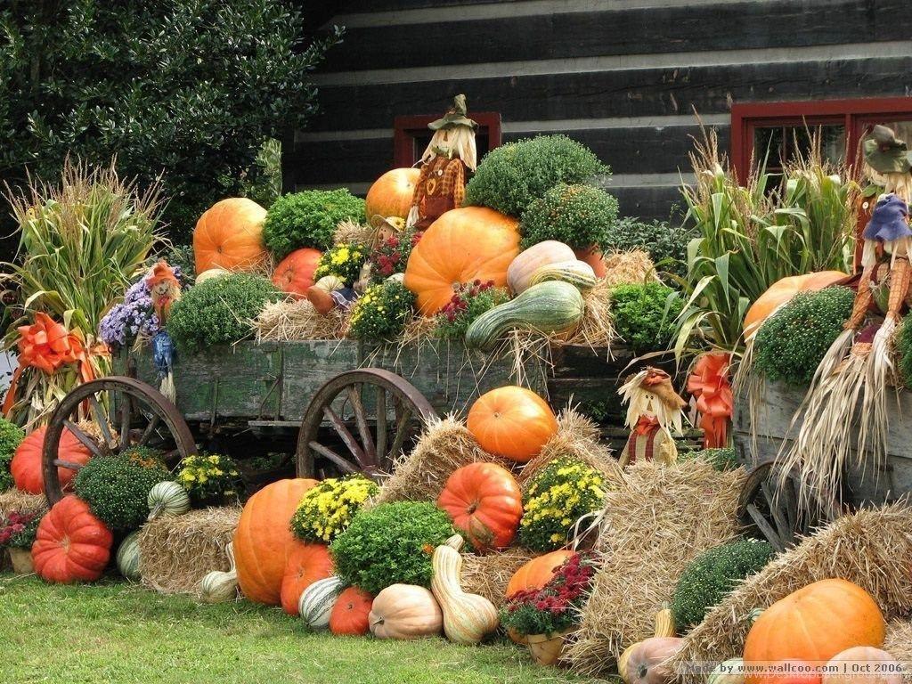 1024x768 Autumn Display : Scarecrow & Pumpkins Wallpaper .pumpkins