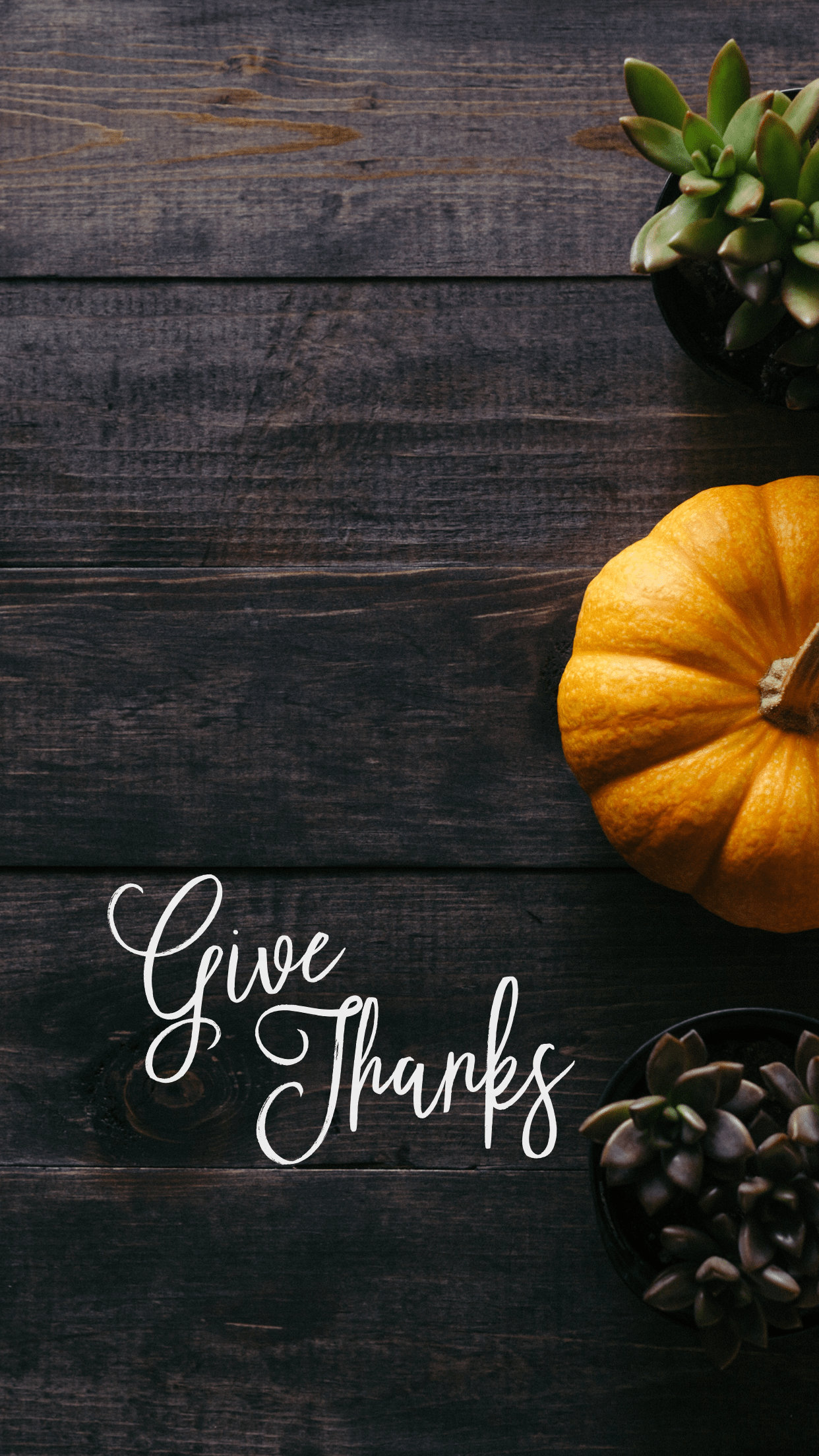 1242x2208 give thanks pumpkin thanksgiving November Fall phone