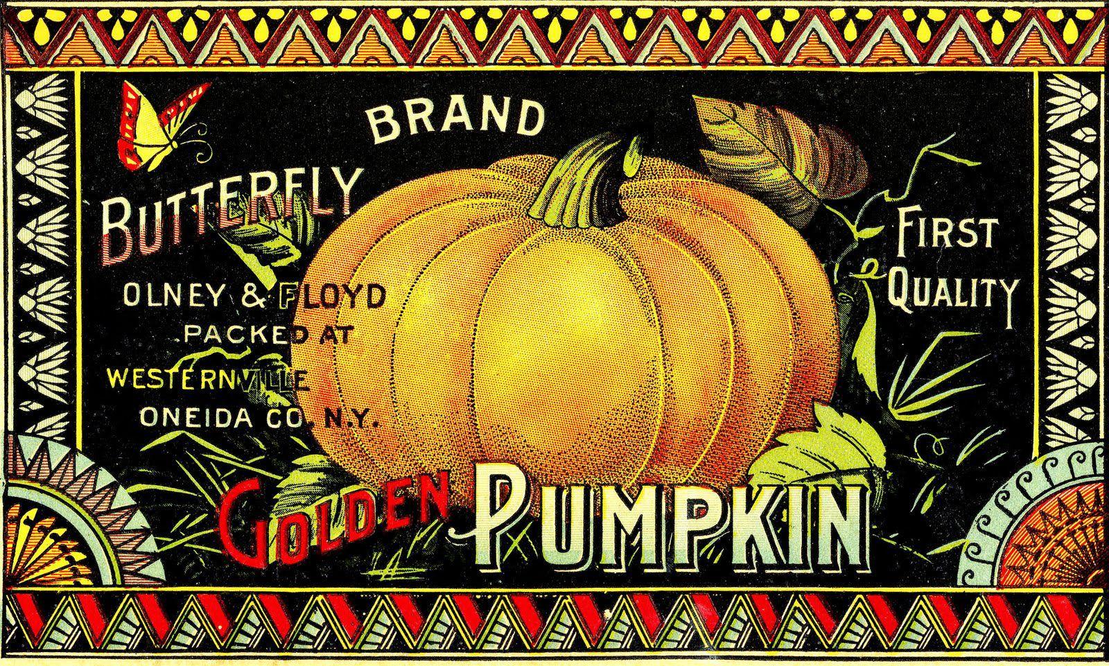 1600x961 Pumpkin Image -Halloween! Graphics Fairy