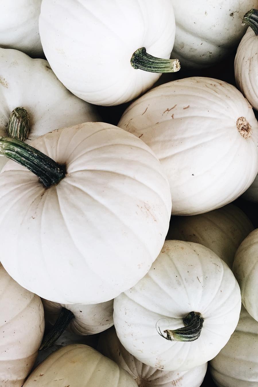 White Pumpkin Images  Browse 1515 Stock Photos Vectors and Video   Adobe Stock