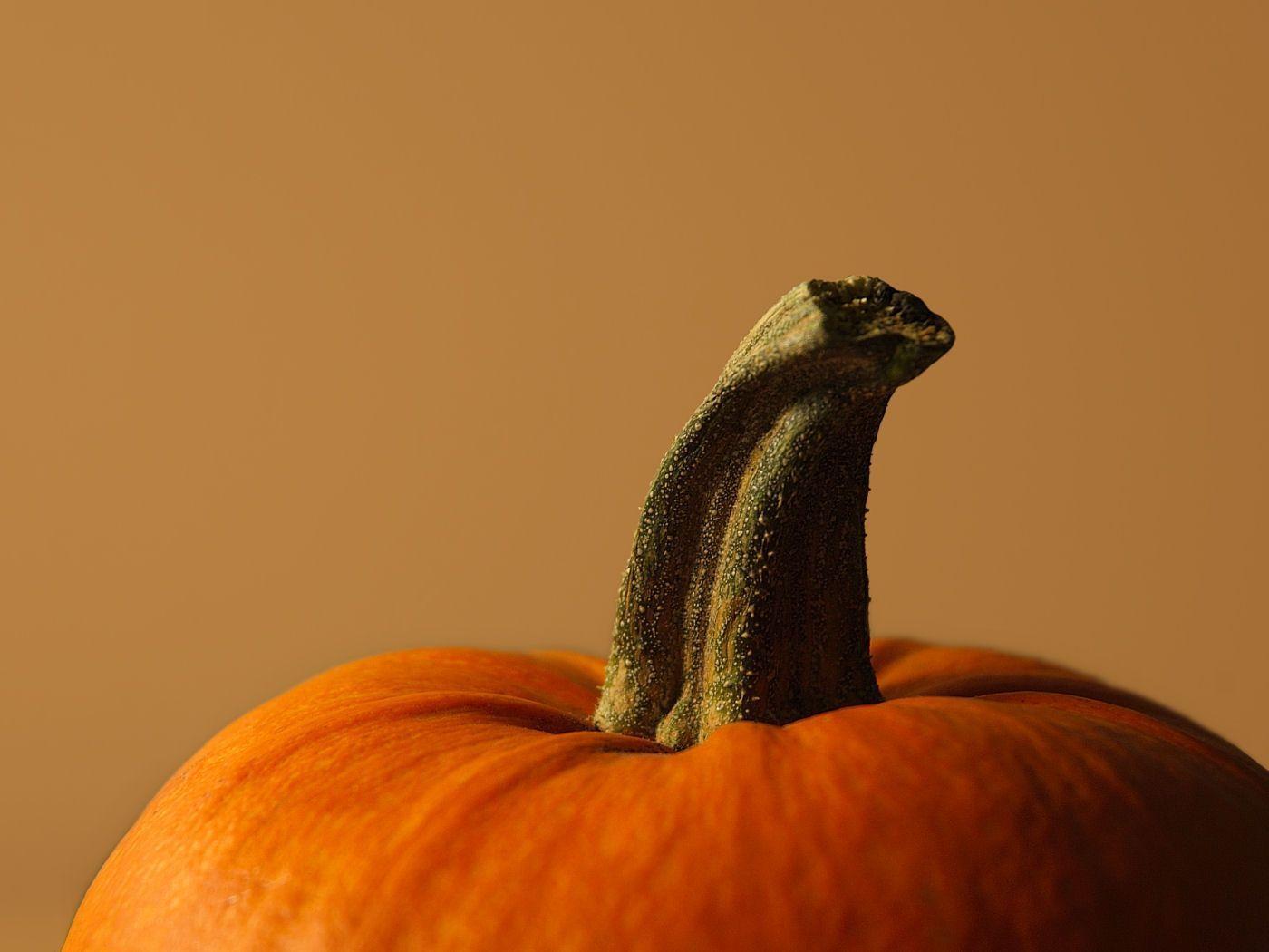 1400x1050 Pumpkins Wallpaper For Desktop