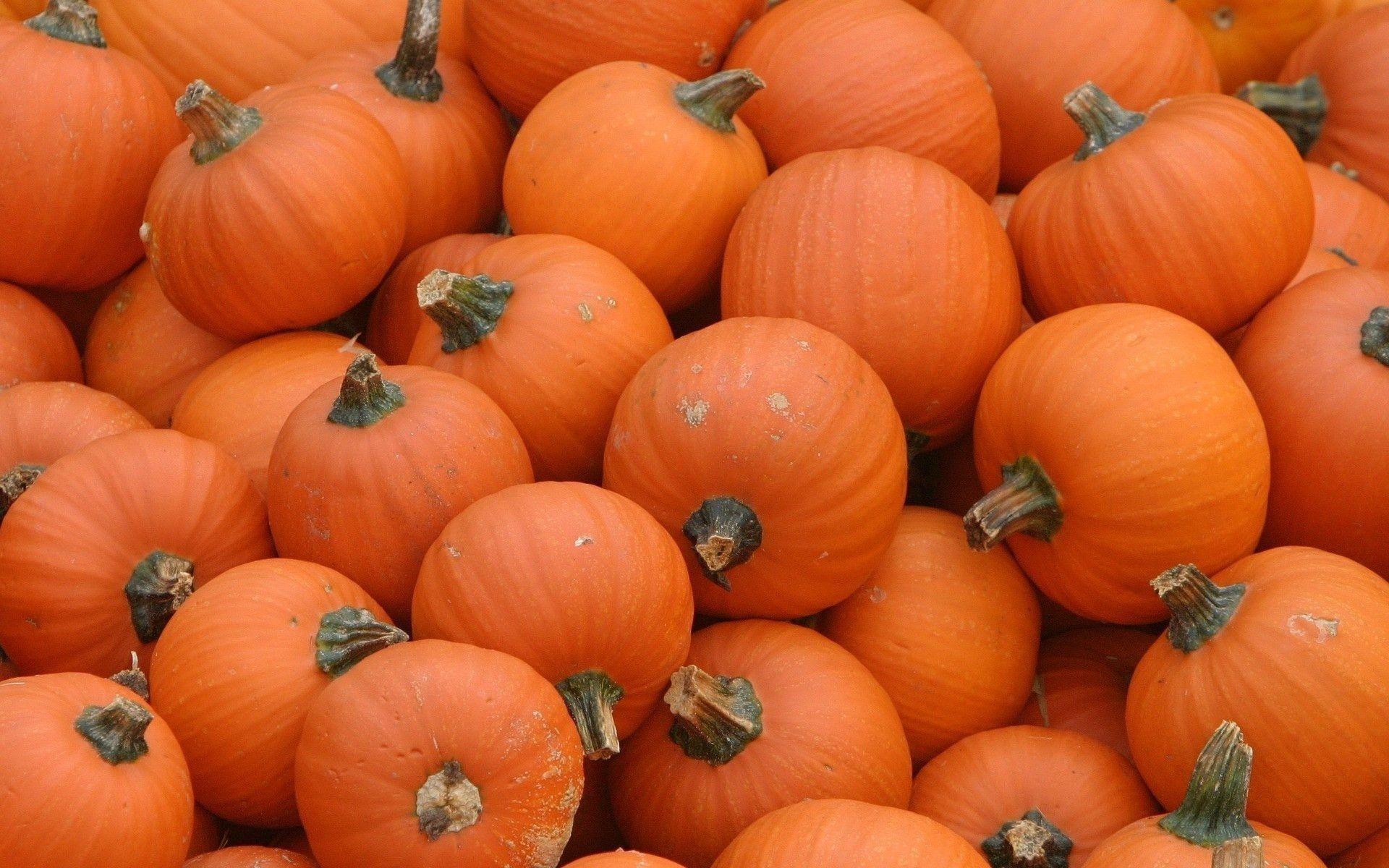 1920x1200 Pumpkin Desktop Wallpaper (the best image in 2018)
