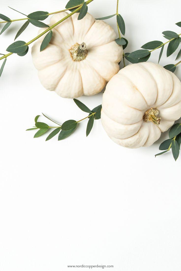 White Pumpkin Fall Wallpapers - Top Free White Pumpkin Fall Backgrounds