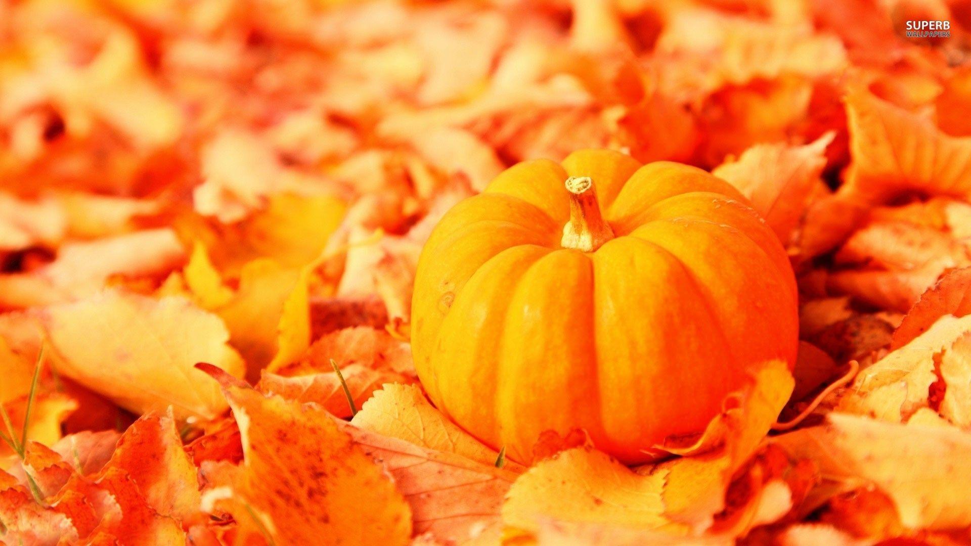 1920x1080 Download Fall Pumpkin Background, High Quality Wallpaper