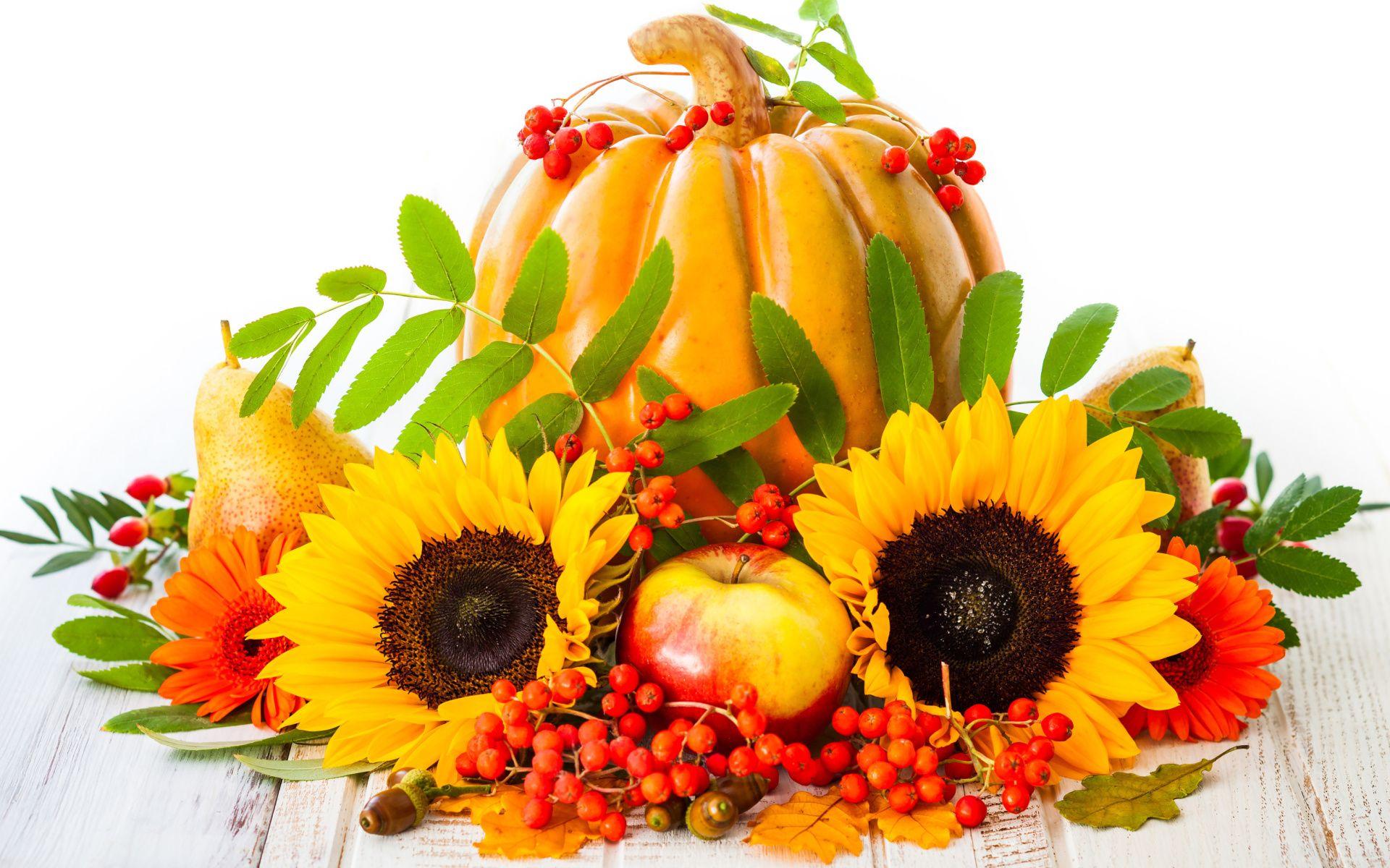 1920x1200 Autumn Still Life HD Wallpaper. Background Image