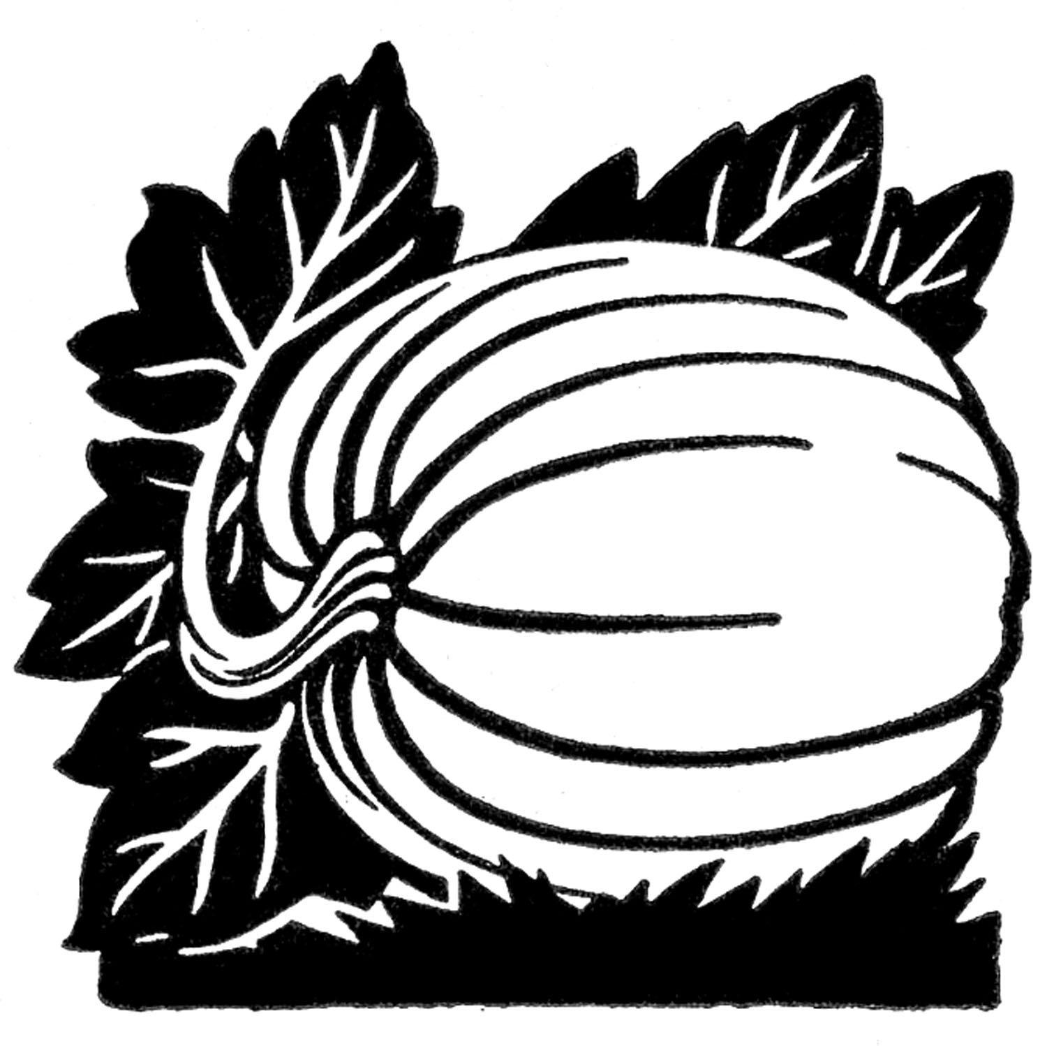 1500x1498 Pumpkin Image -Halloween! Graphics Fairy