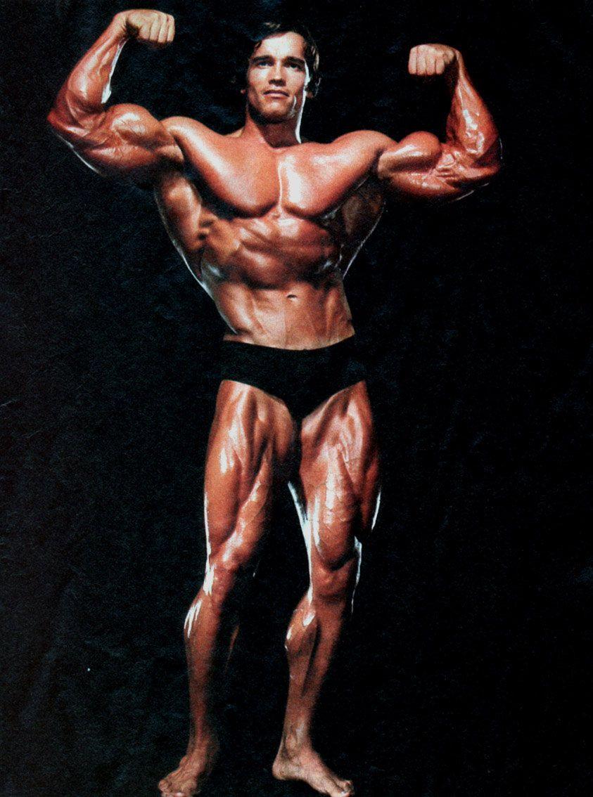 Arnold schwarzenegger bodybuilding Wallpapers Download  MobCup