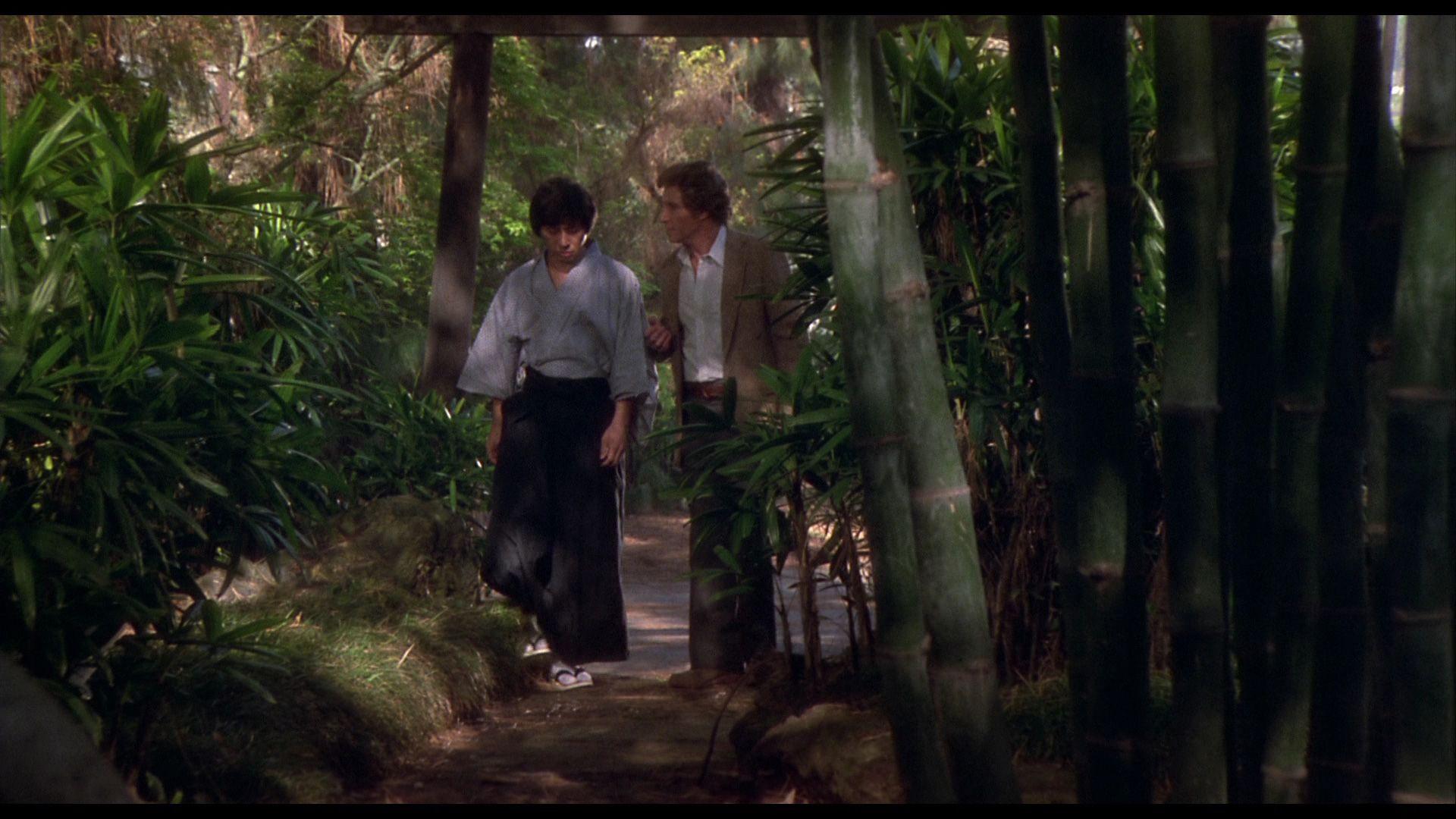 1920x1080 Rock! Shock! Pop! Trilogy, The Enter The Ninja, Revenge Of