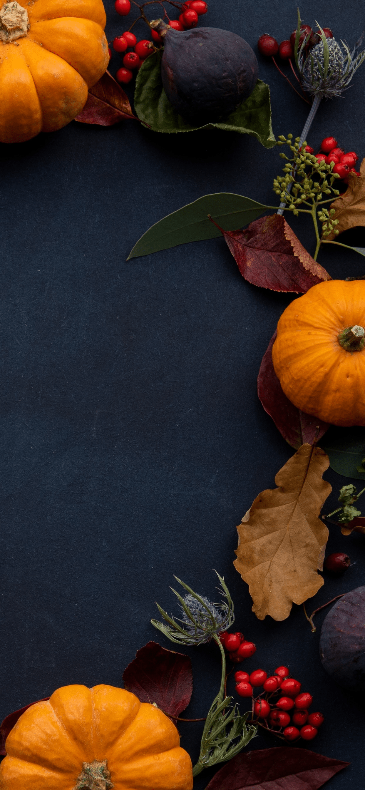 1242x2688 Orange Pumpkin Wreath Fall iPhone X XS Max Autumn Wallpaper
